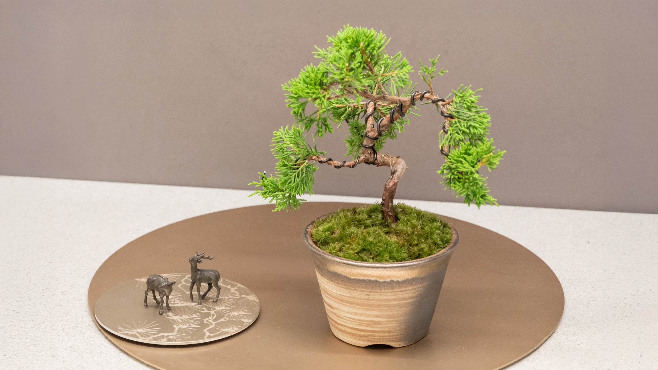 Journey into the World of Bonsai in Tokyo