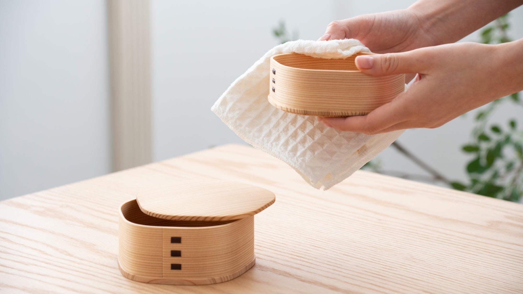 How to Care for Magewappa