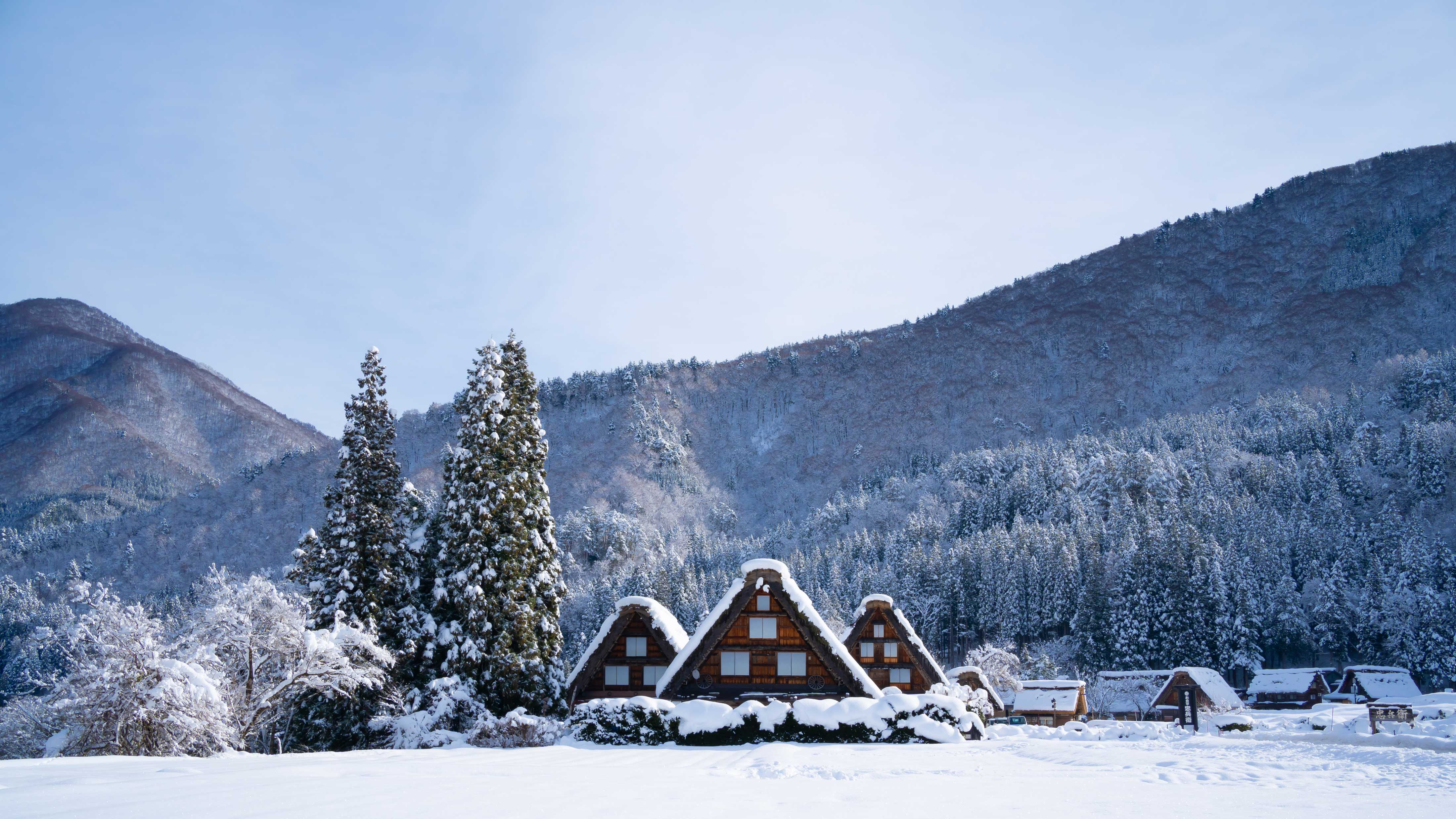 The Allure of Snow in Japan