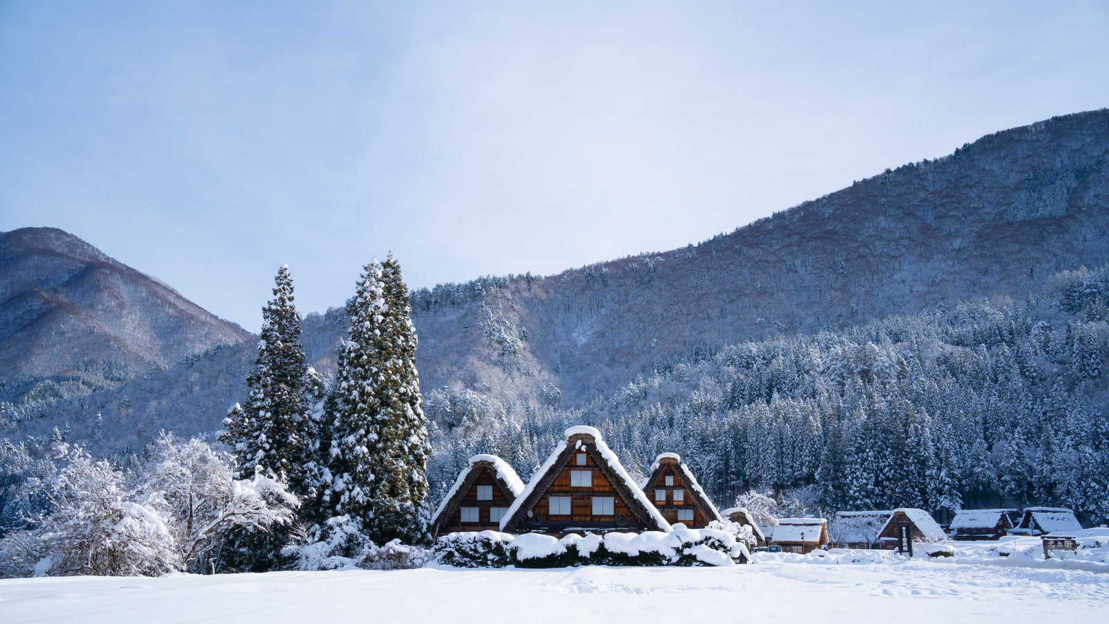 The Allure of Snow in Japan