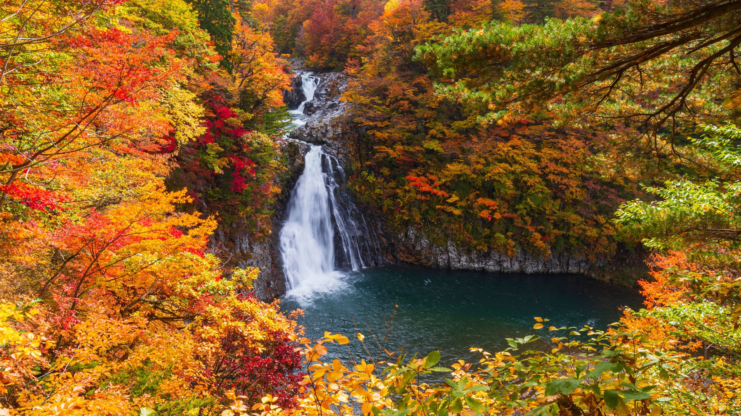 7 Tips for Thoroughly Enjoying Autumn in Japan