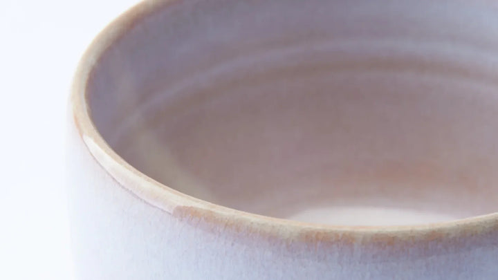 Guide to Japanese Pottery