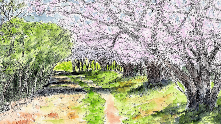 Ask the Staff: Places to Visit in Spring