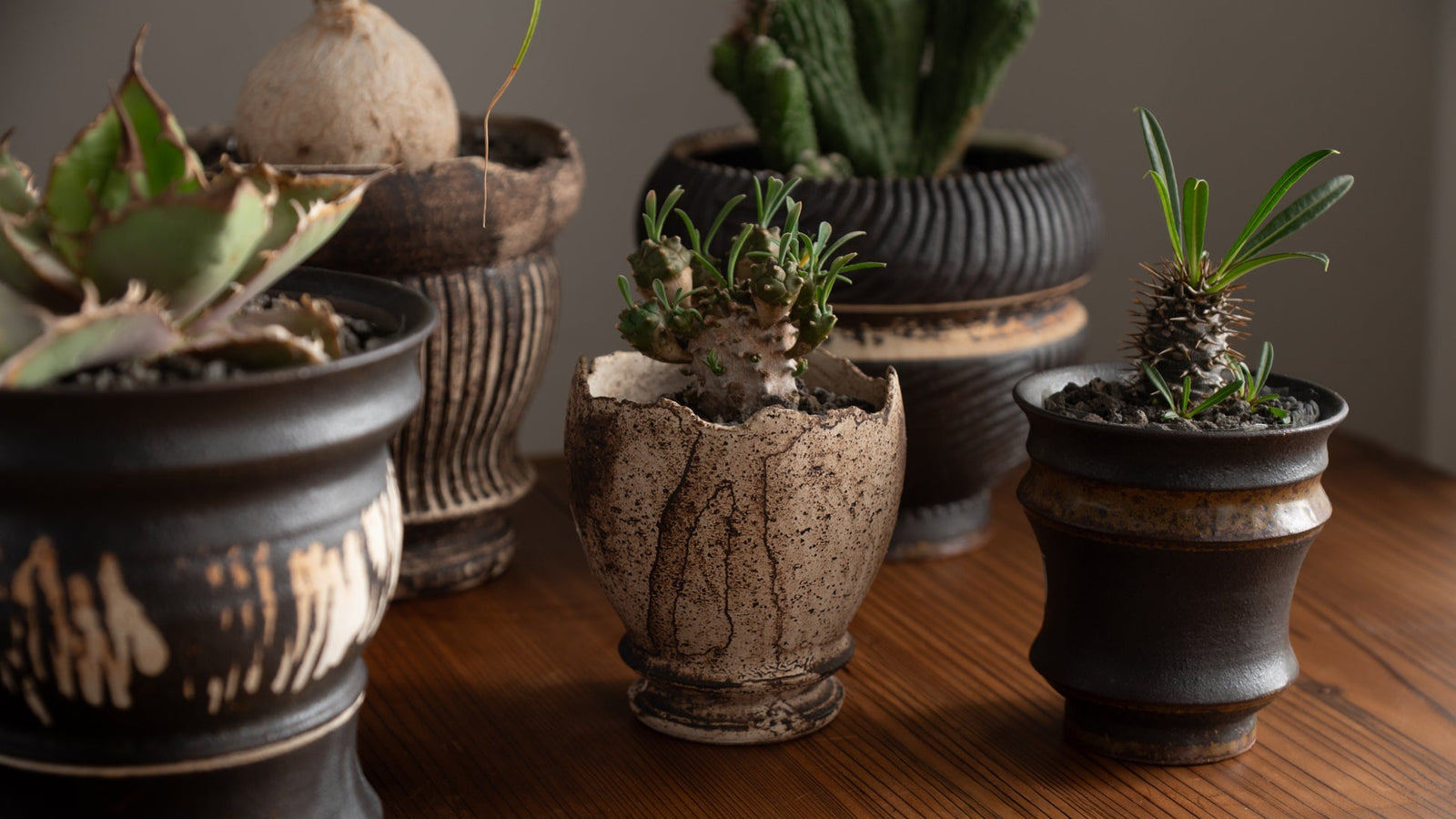 The Flower Pots Behind Japan's Garden Culture
