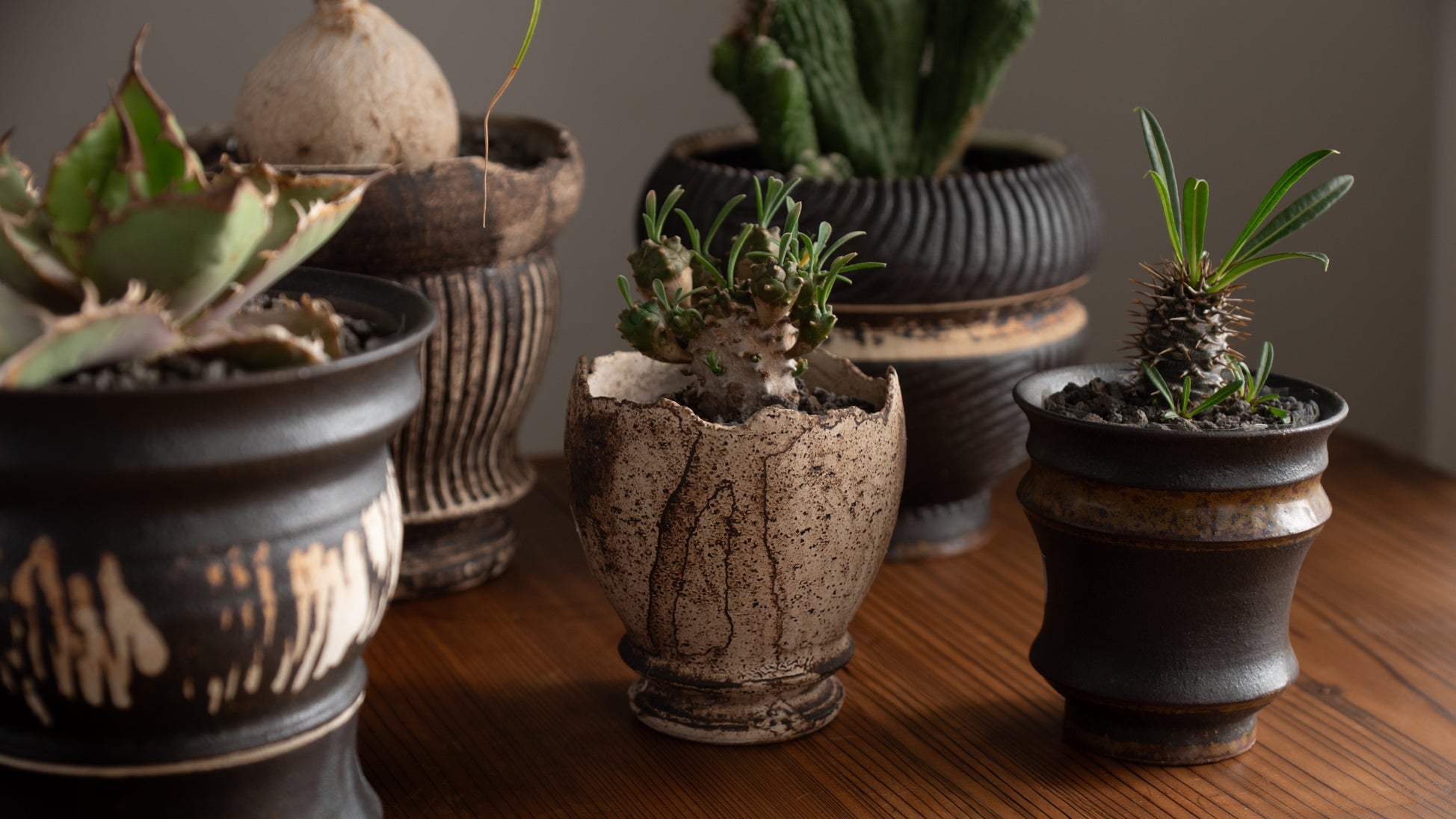 The Flower Pots Behind Japan's Garden Culture