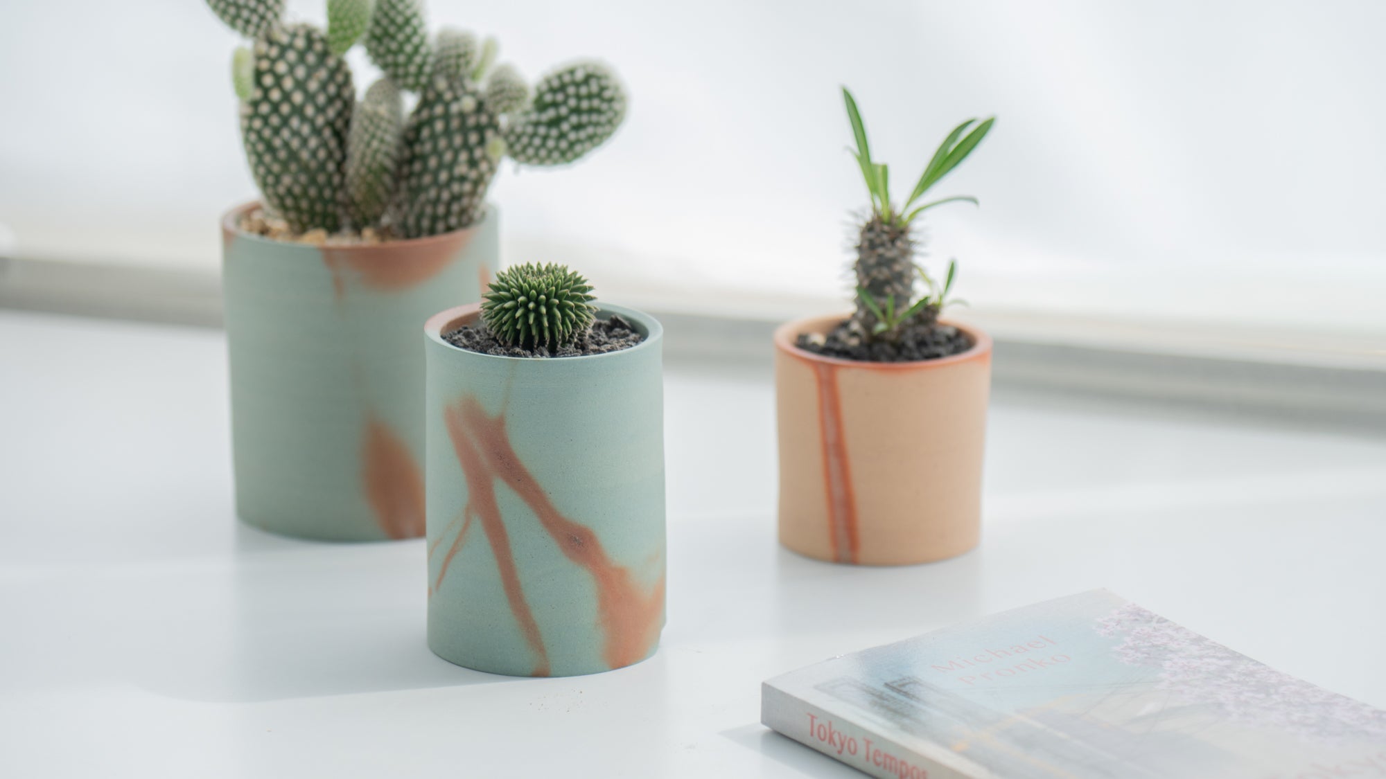 Spring Refresh: 5 Gentle Ways to Renew Your Space