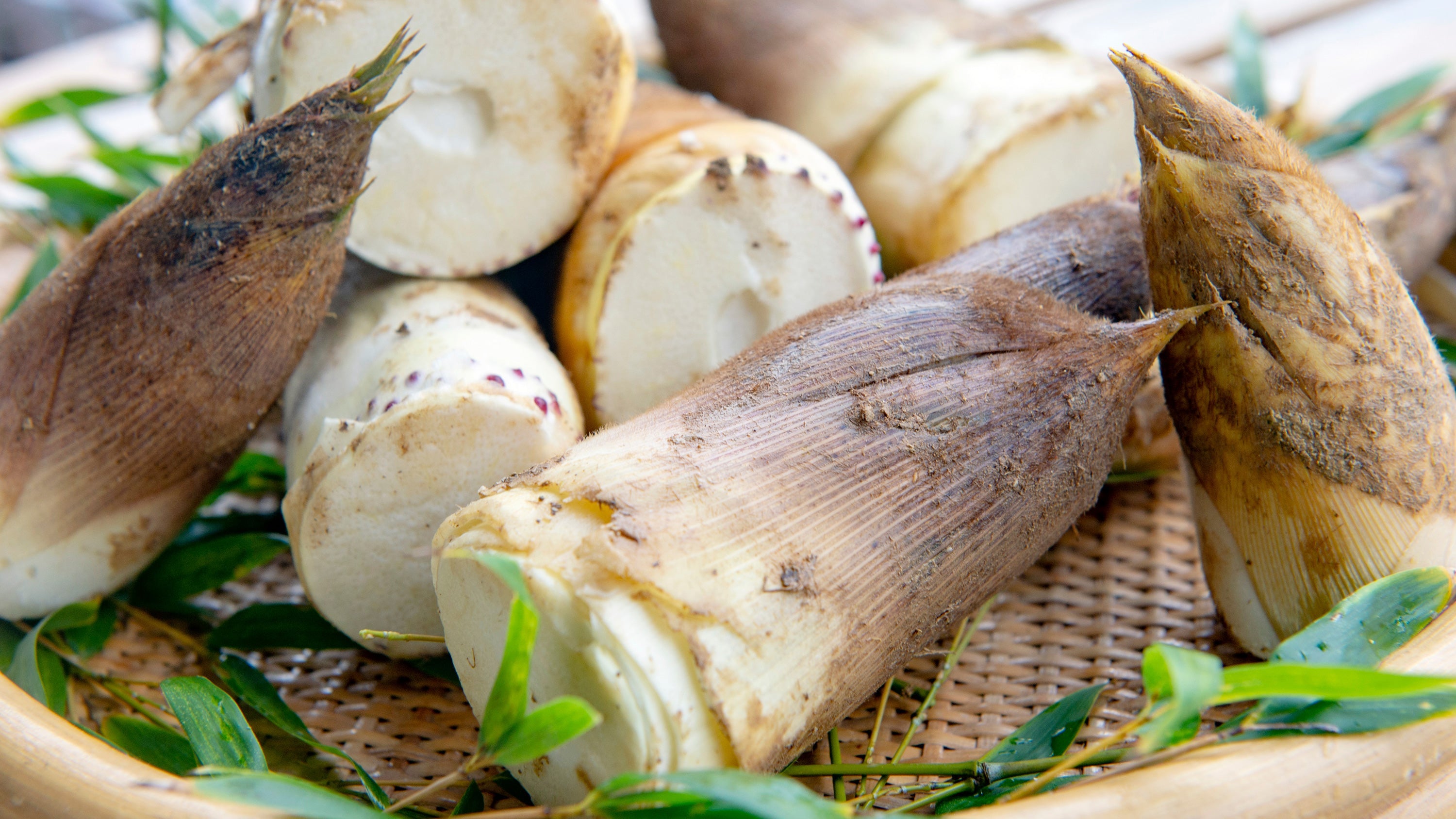All About Bamboo Shoots: Welcoming Spring with Takenoko Gohan
