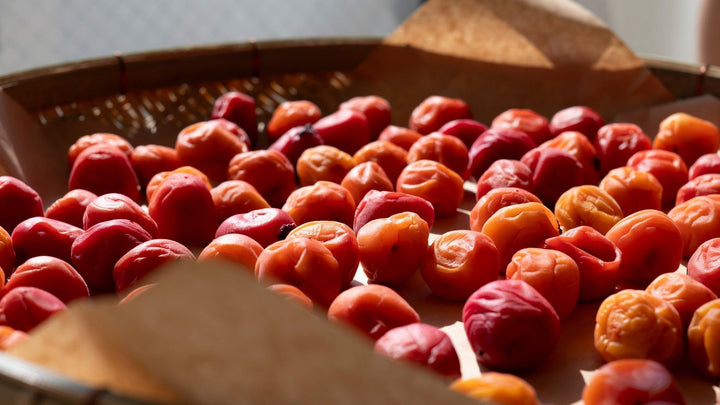 Red and orange umeboshi drying in the sun on a woven bamboo tray