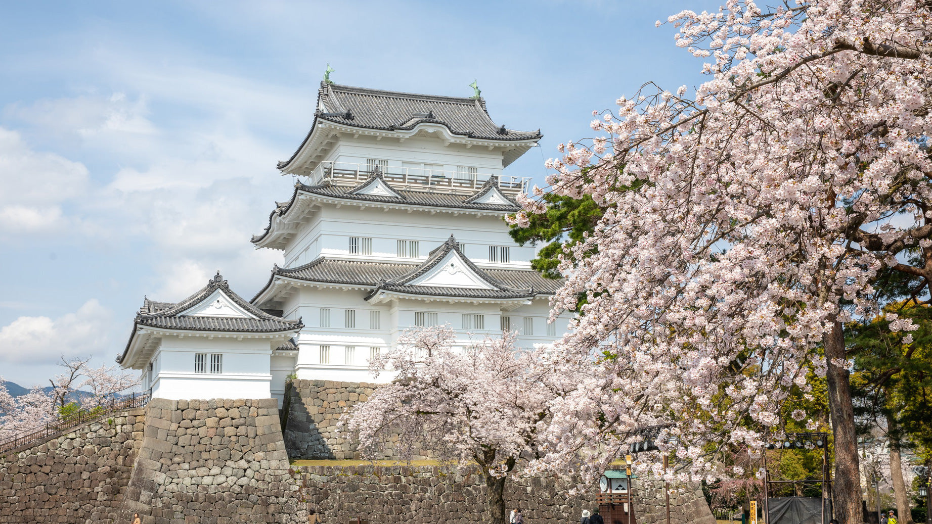 A Perfect Spring Day Trip to Odawara Castle