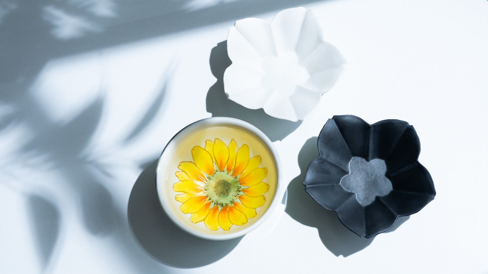 Summer’s Palette: The Radiant Beauty of Flowers