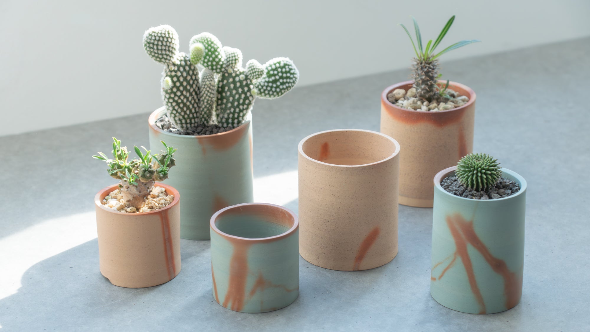 Plant Pots