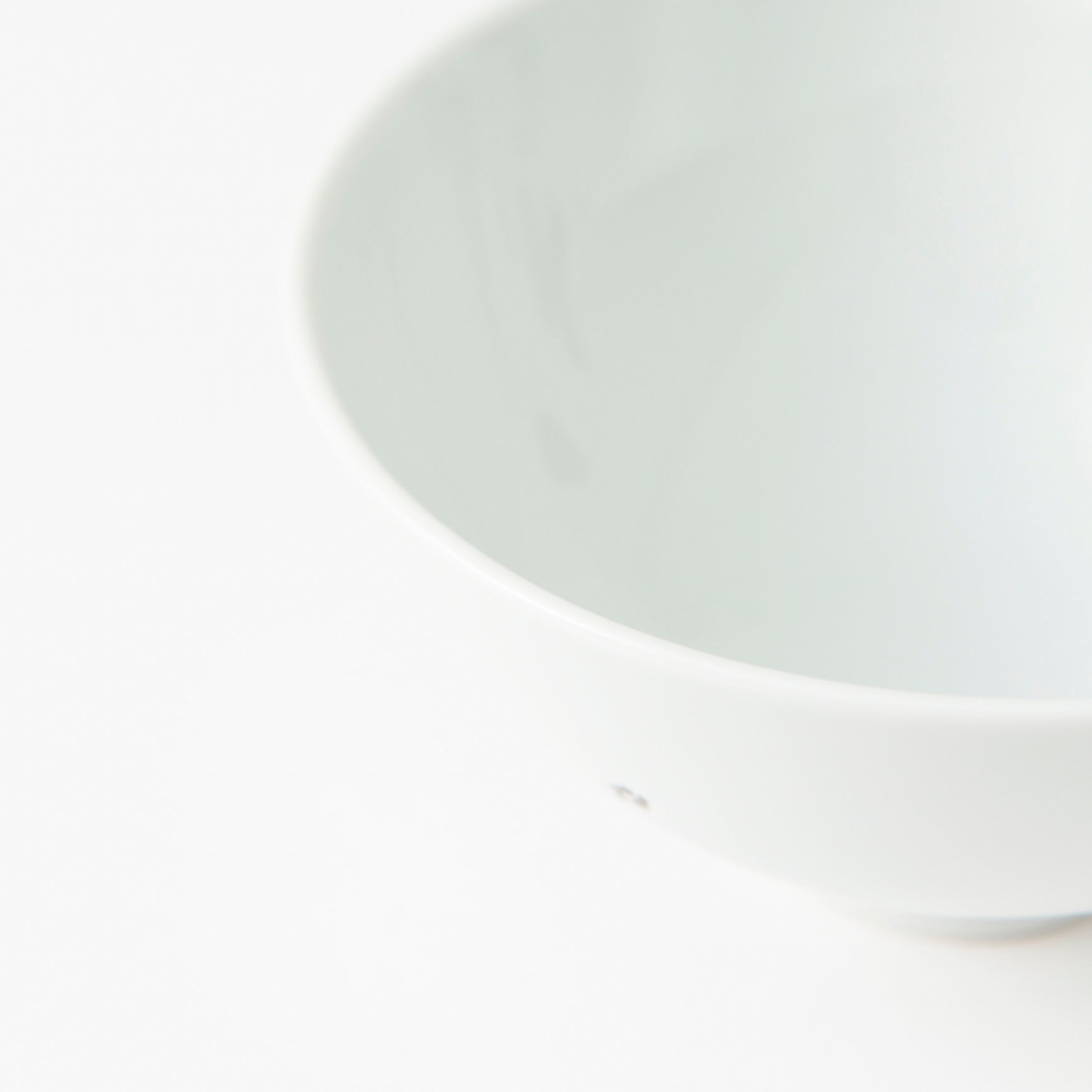 Rim-Peeking Animals Designed Japanese Rice Bowl