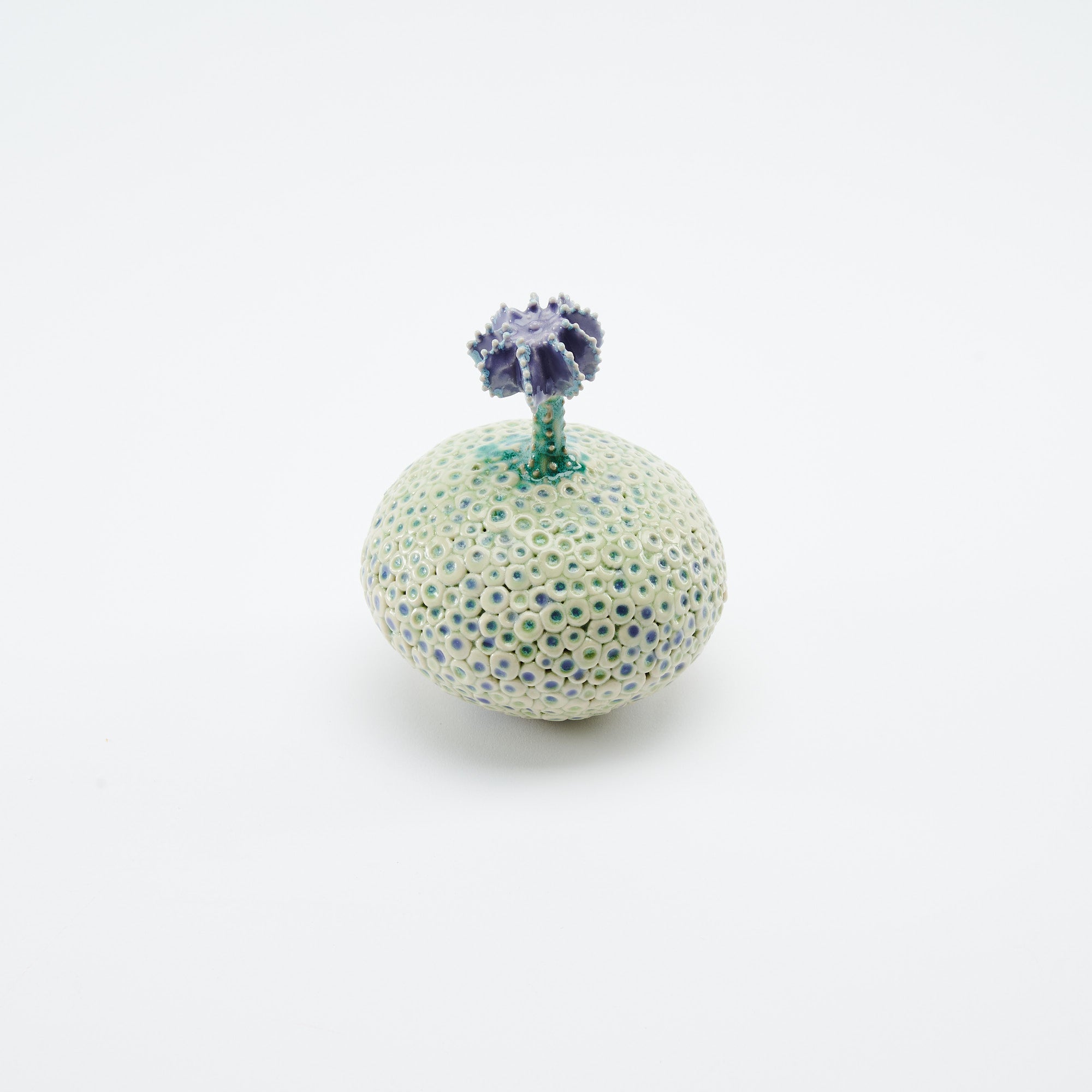 Botanical Textures Objet d'Art 14