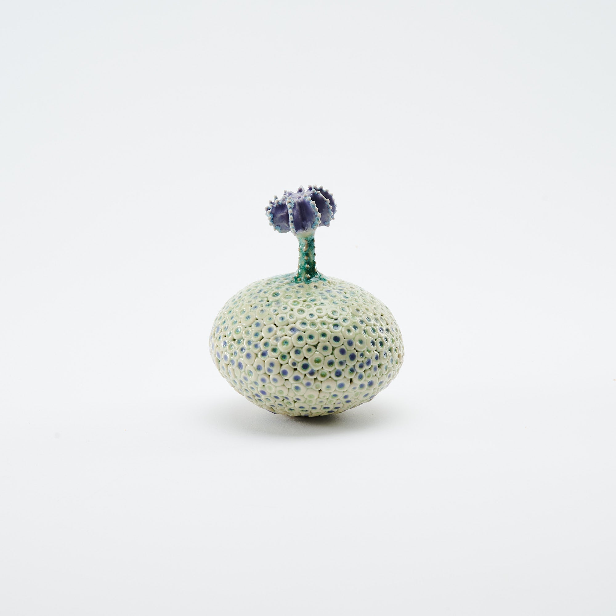 Botanical Textures Objet d'Art 14