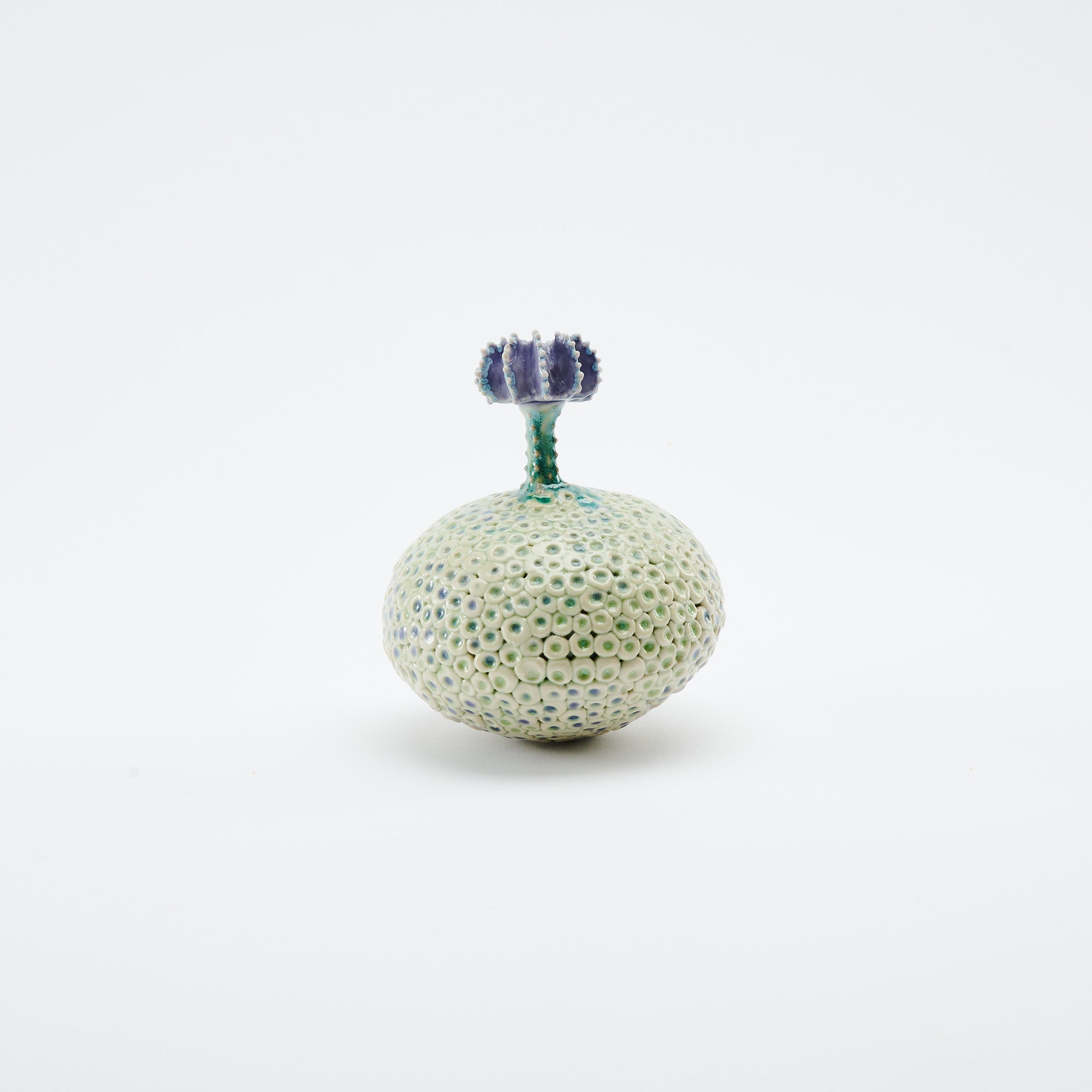 Botanical Textures Objet d'Art 14
