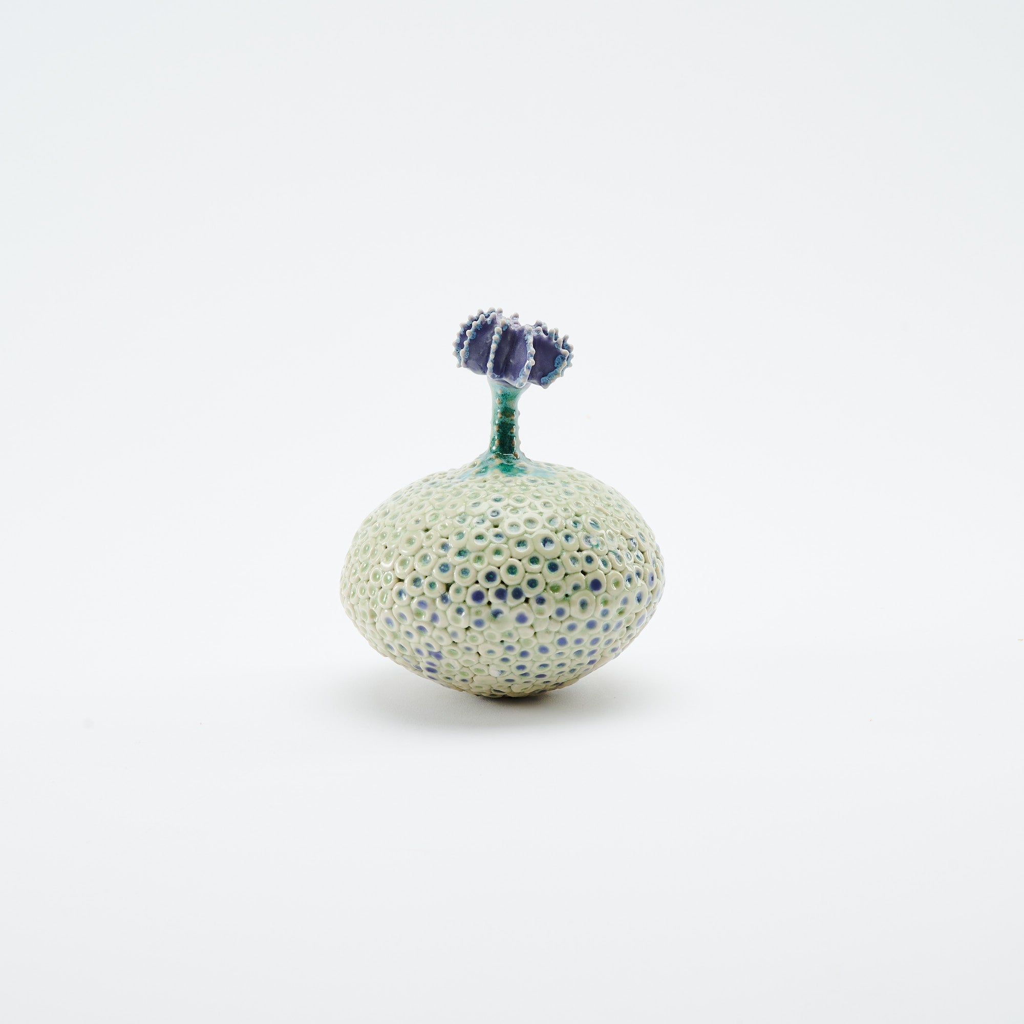 Botanical Textures Objet d'Art 14
