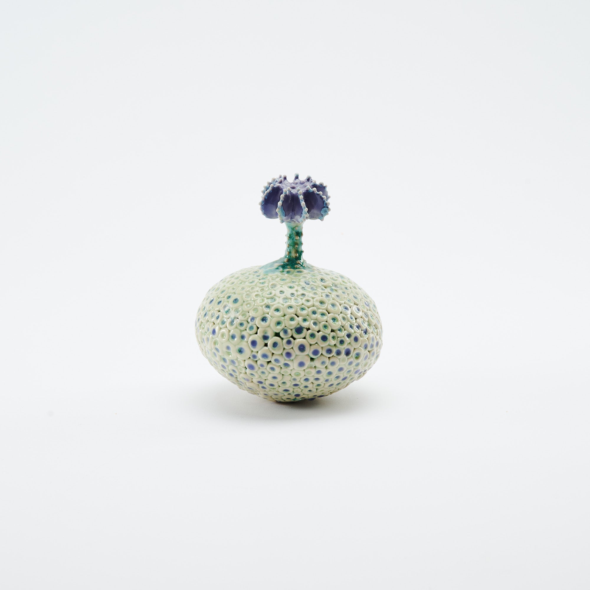 Botanical Textures Objet d'Art 14