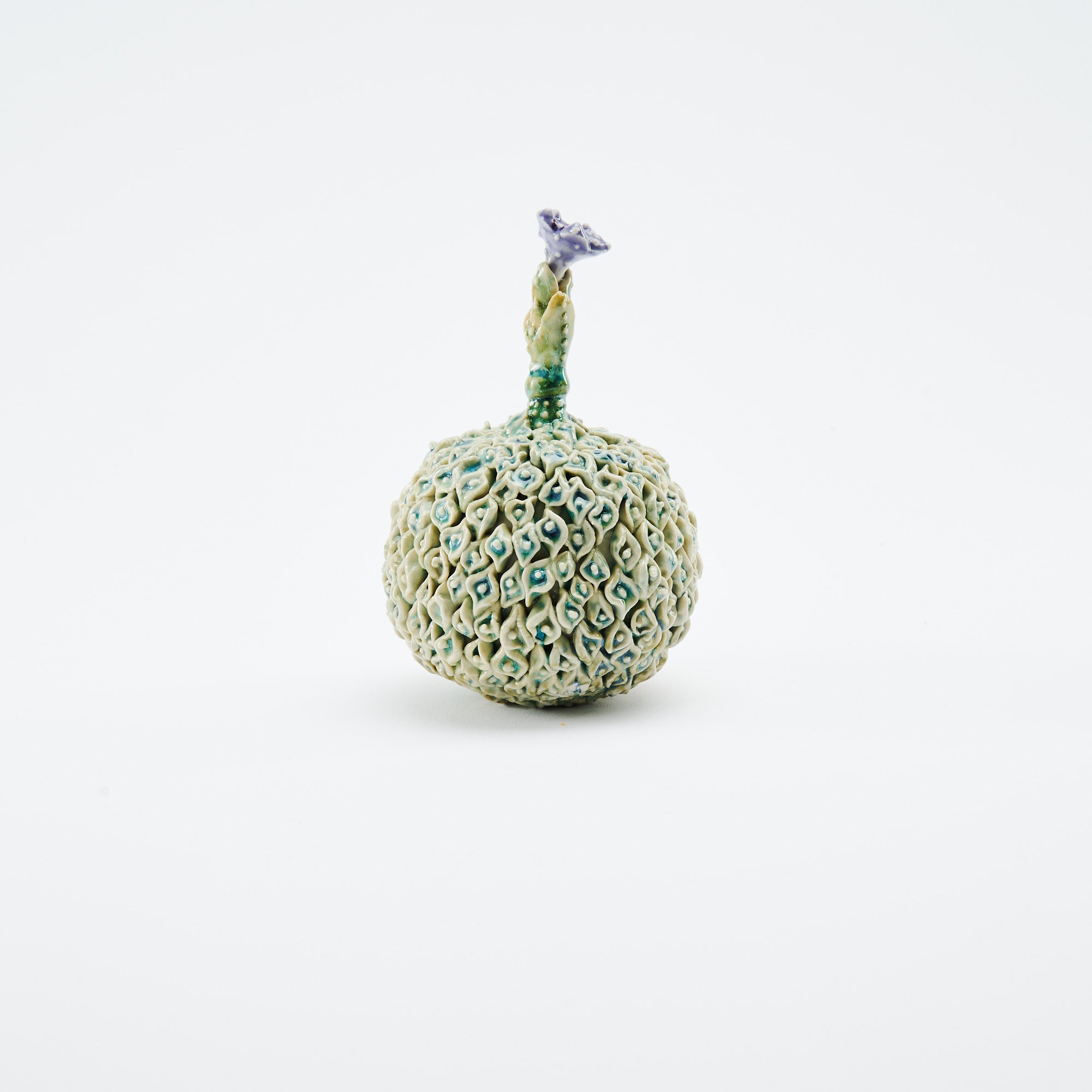 Botanical Textures Objet d'Art 15