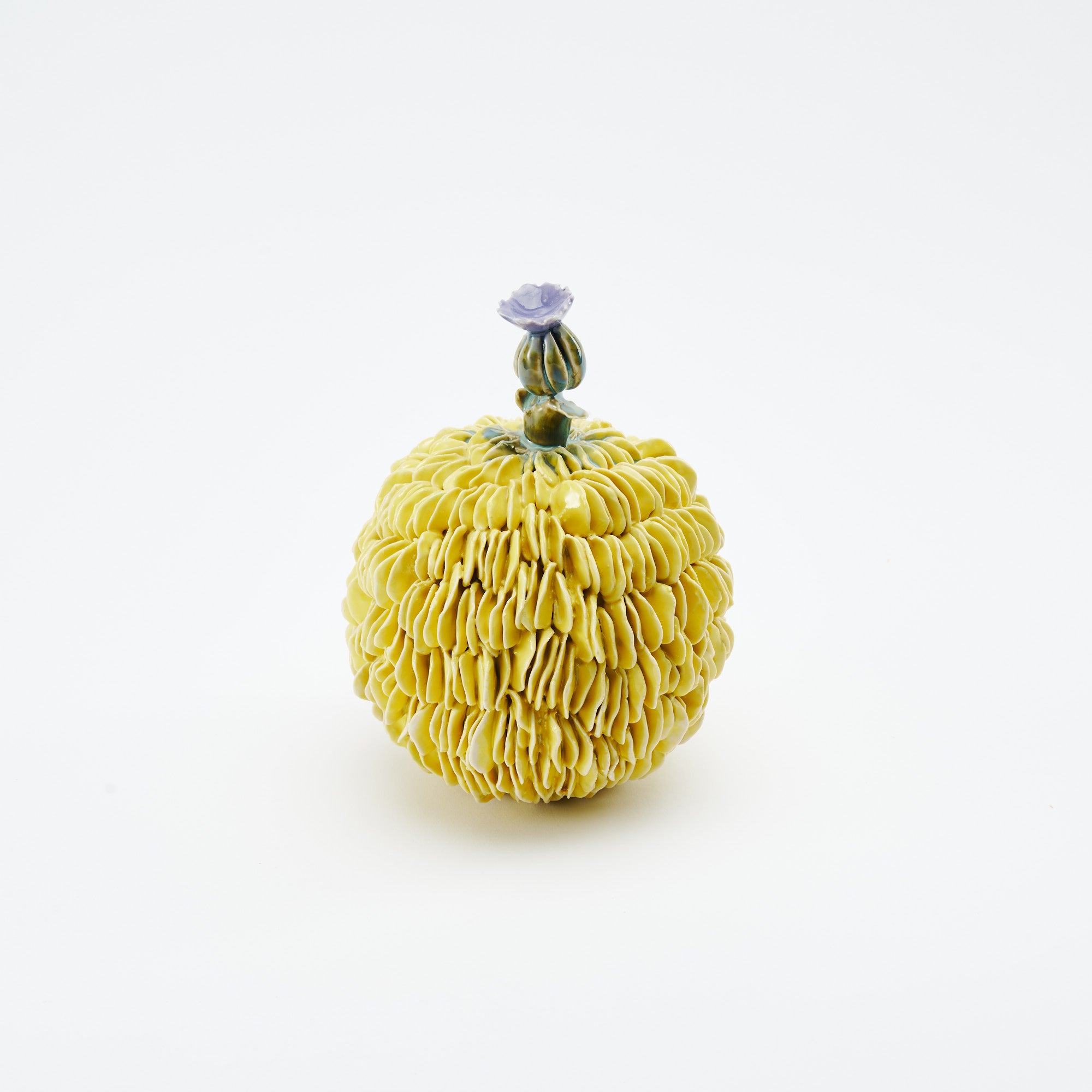 Botanical Textures Objet d'Art 18
