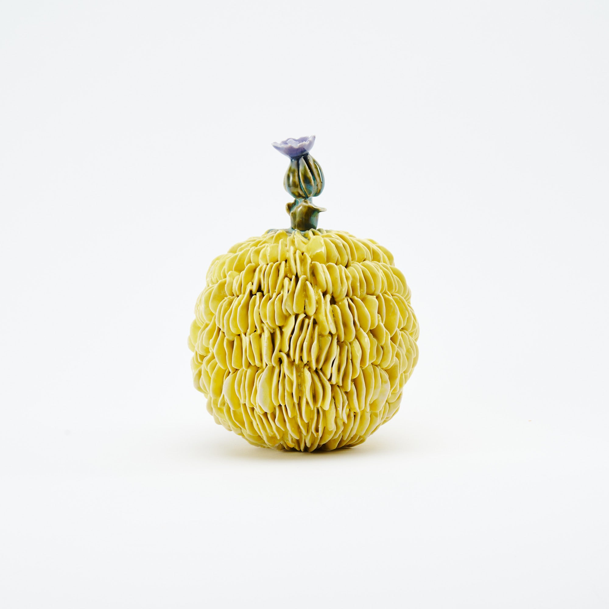 Botanical Textures Objet d'Art 18