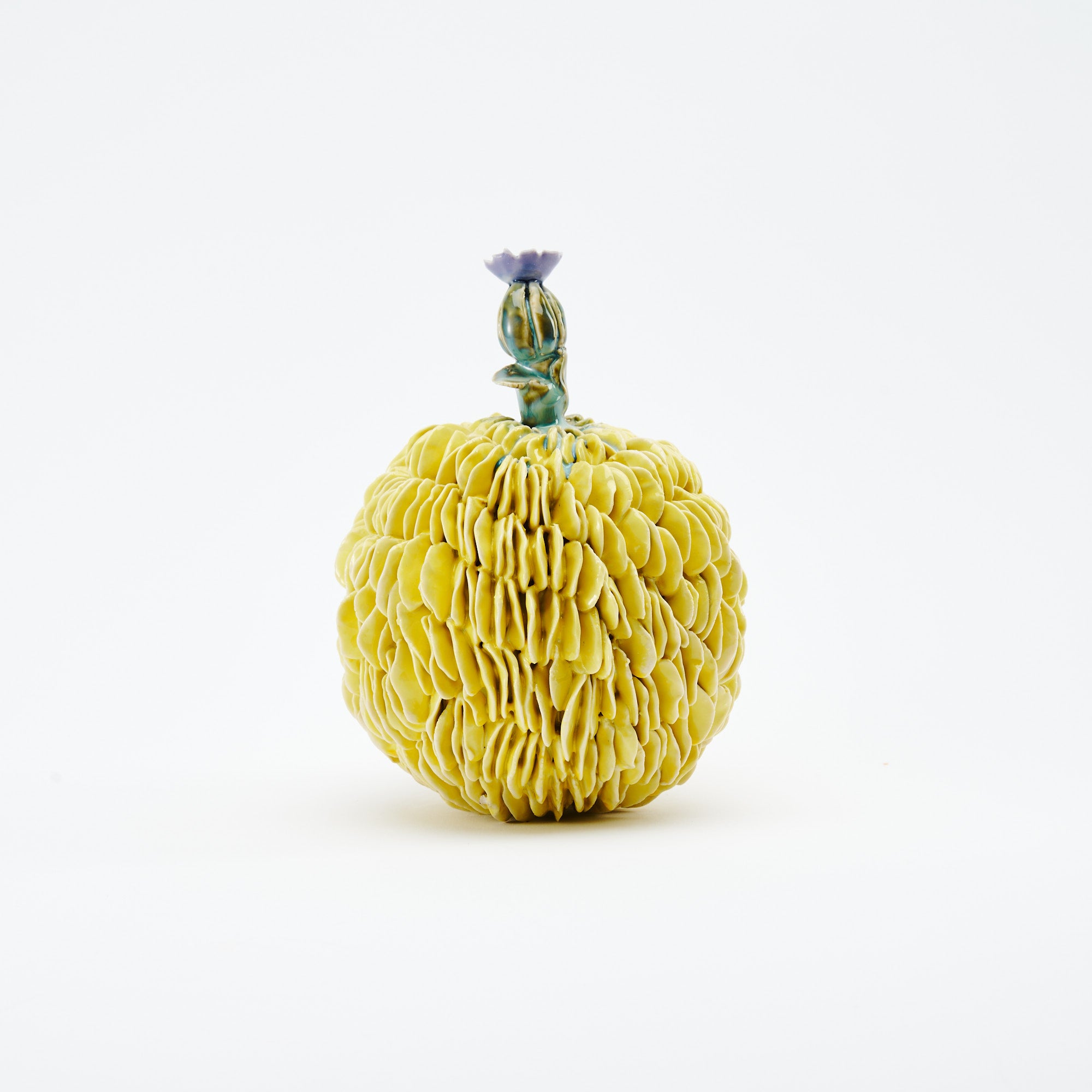 Botanical Textures Objet d'Art 18
