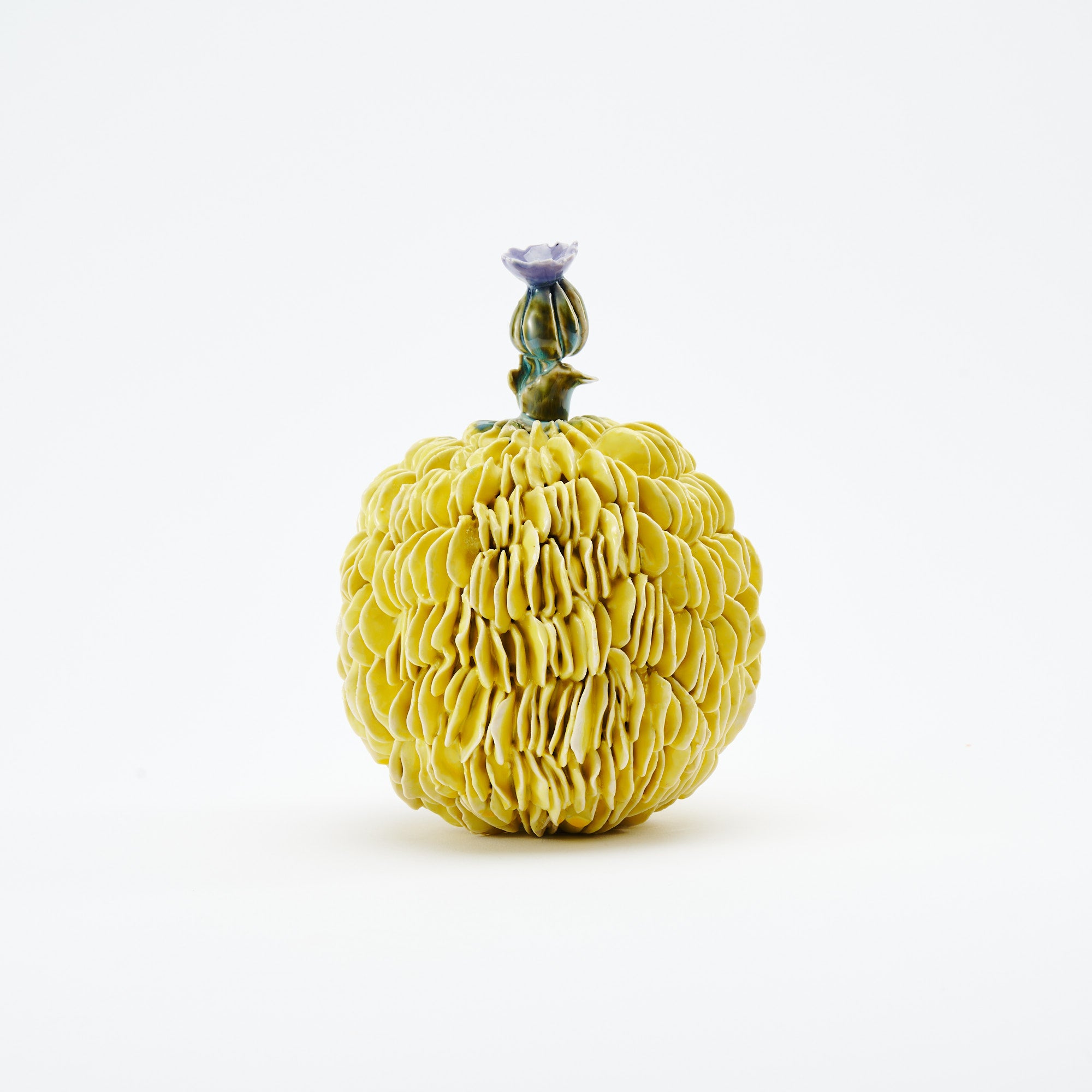 Botanical Textures Objet d'Art 18