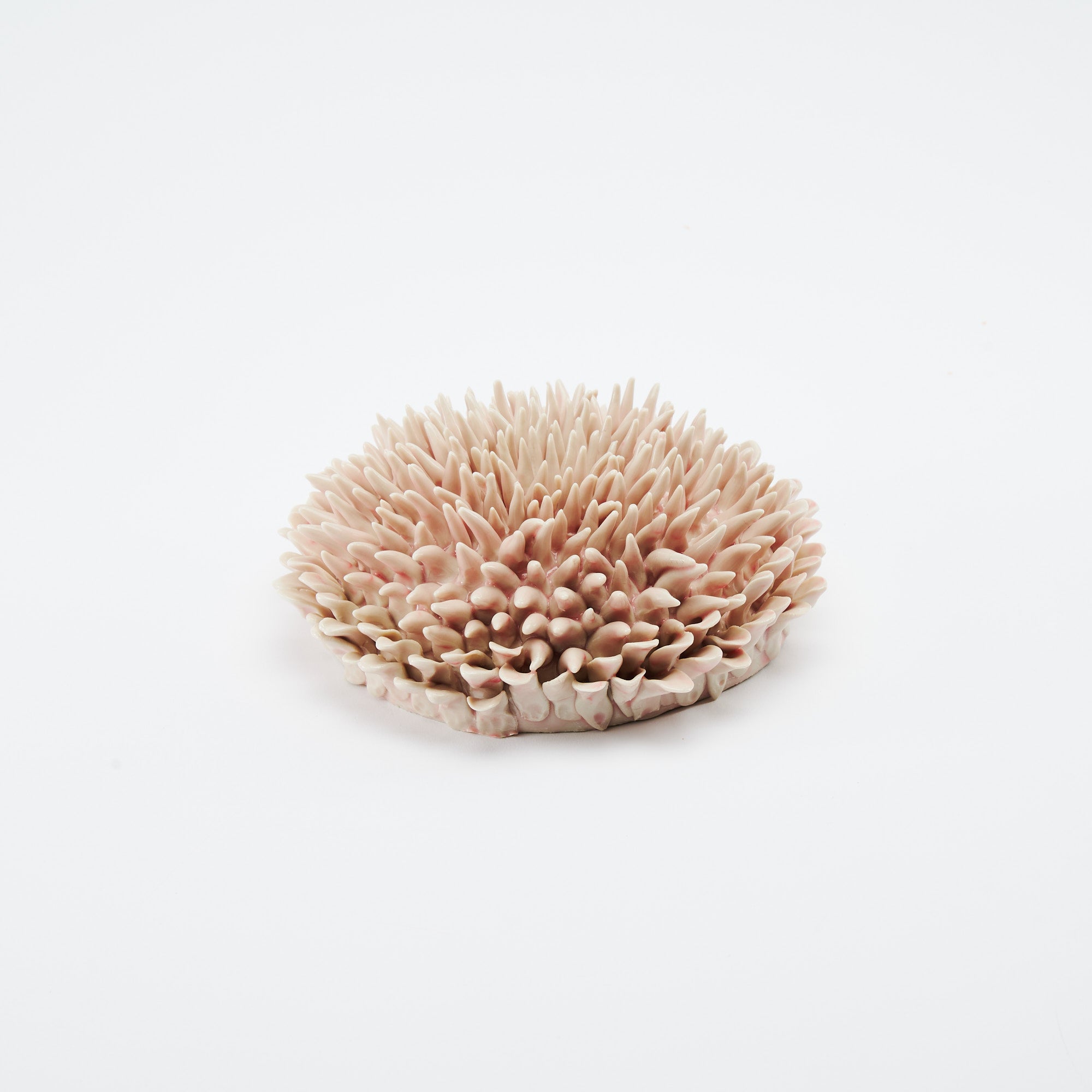 Marine Textures Objet d'Art 26