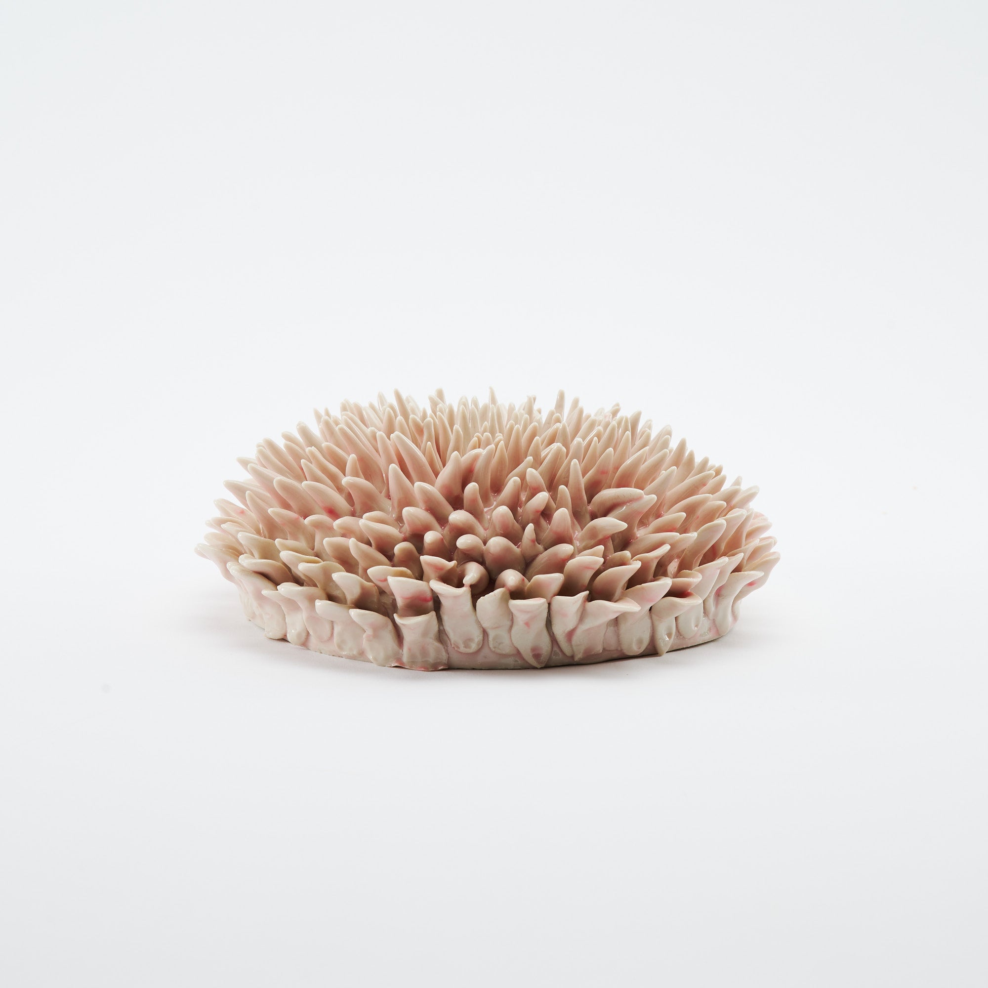 Marine Textures Objet d'Art 26