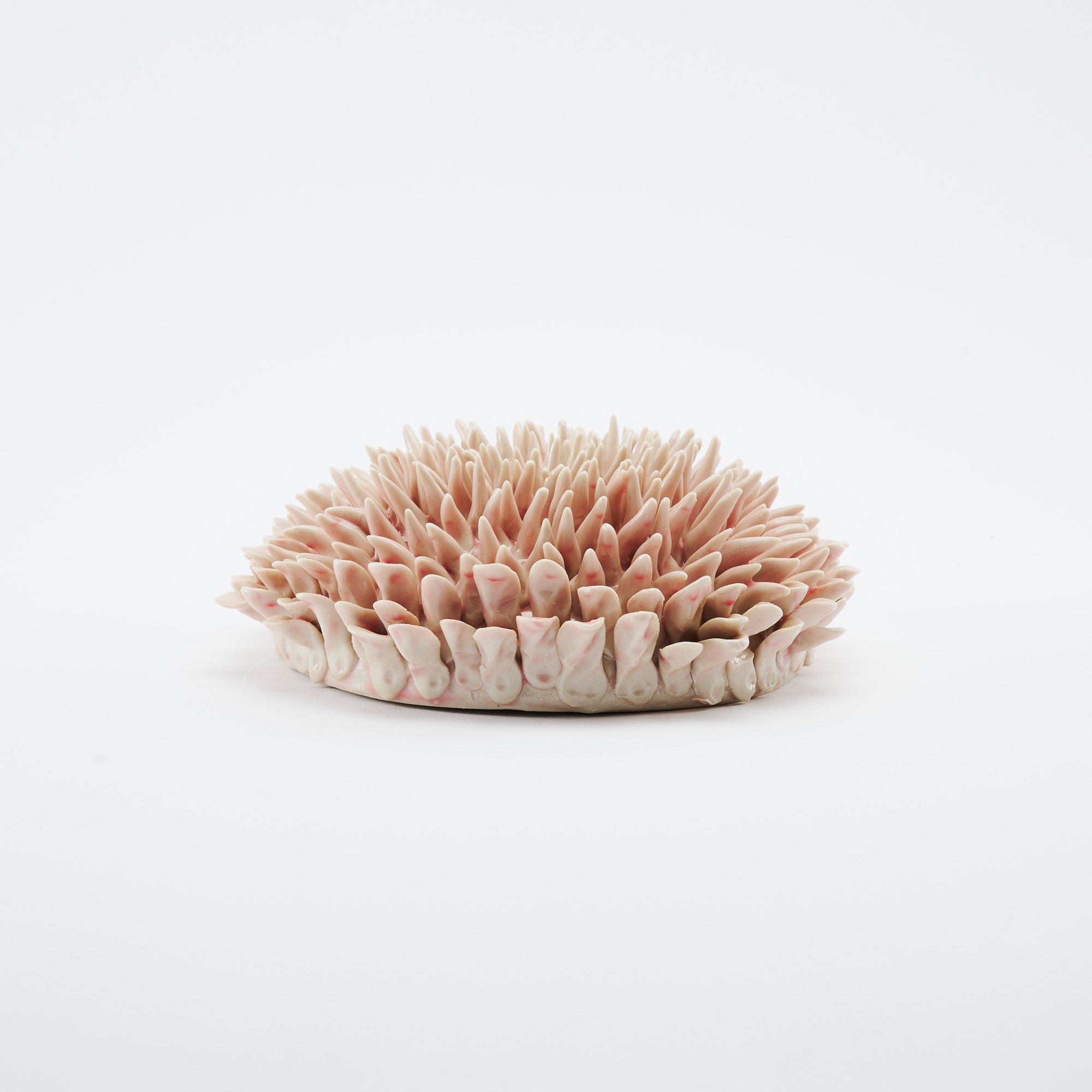 Marine Textures Objet d'Art 26