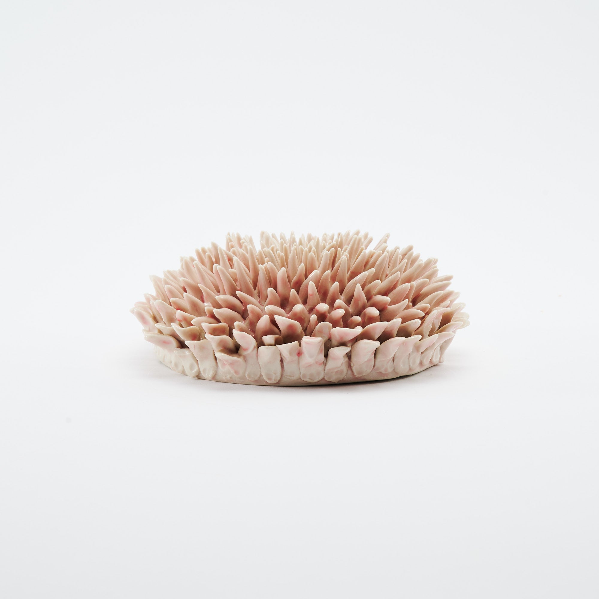 Marine Textures Objet d'Art 26