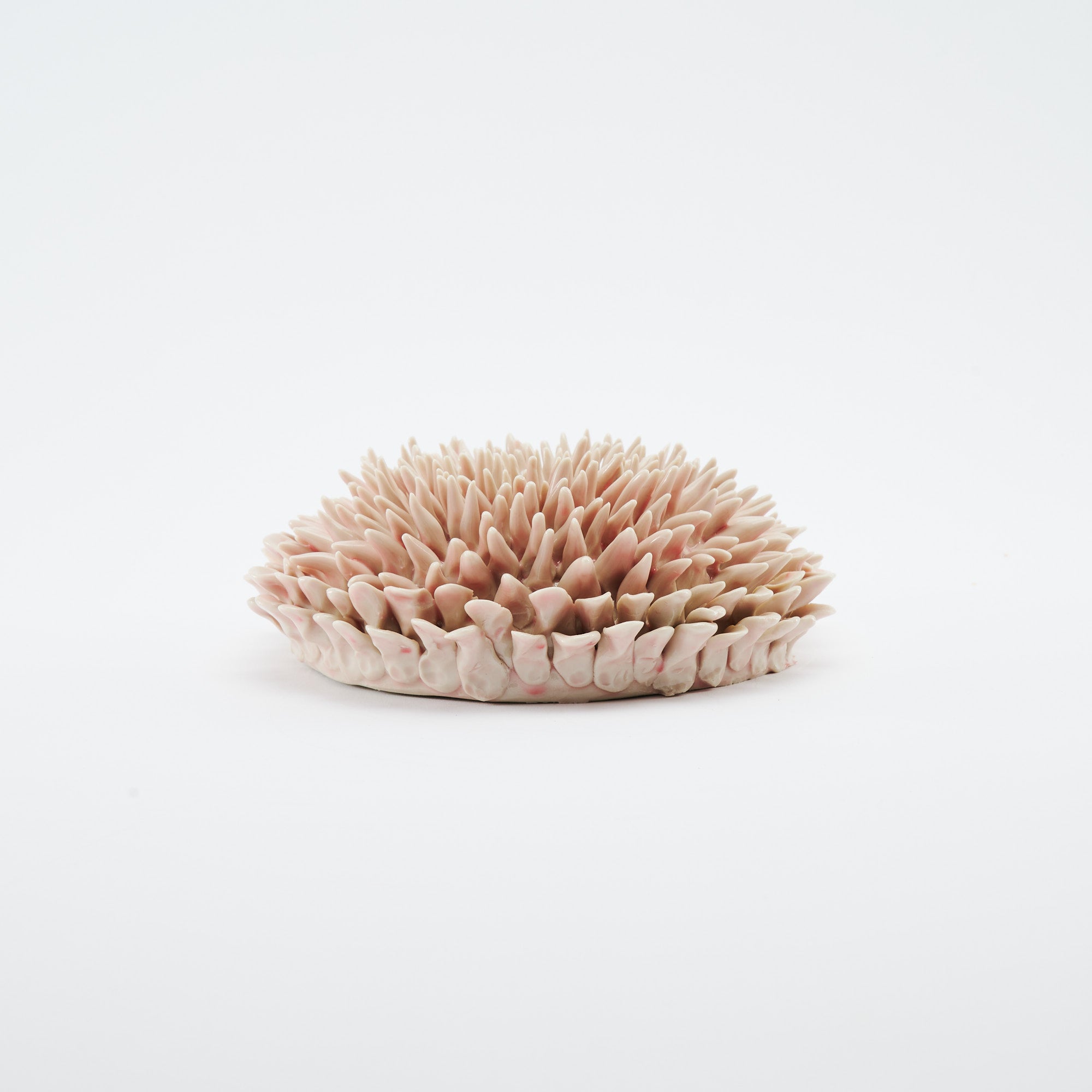 Marine Textures Objet d'Art 26