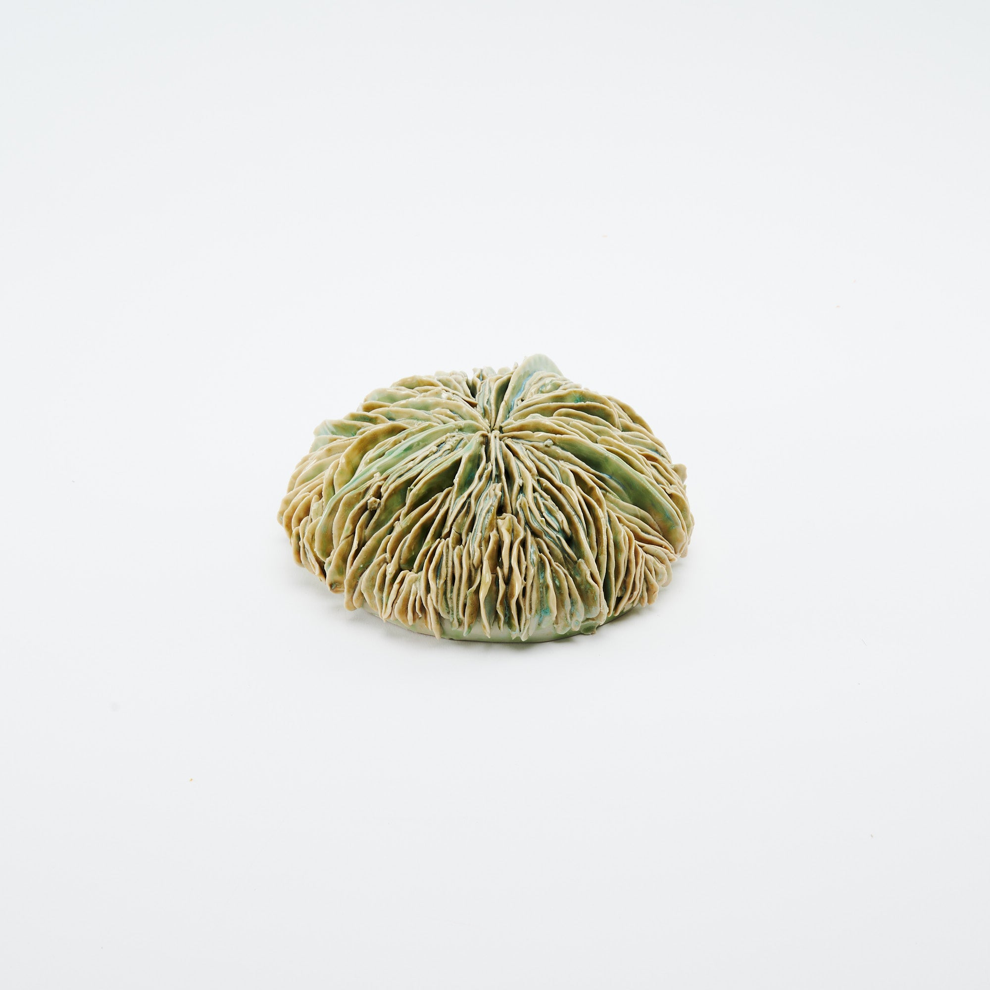 Marine Textures Objet d'Art 27