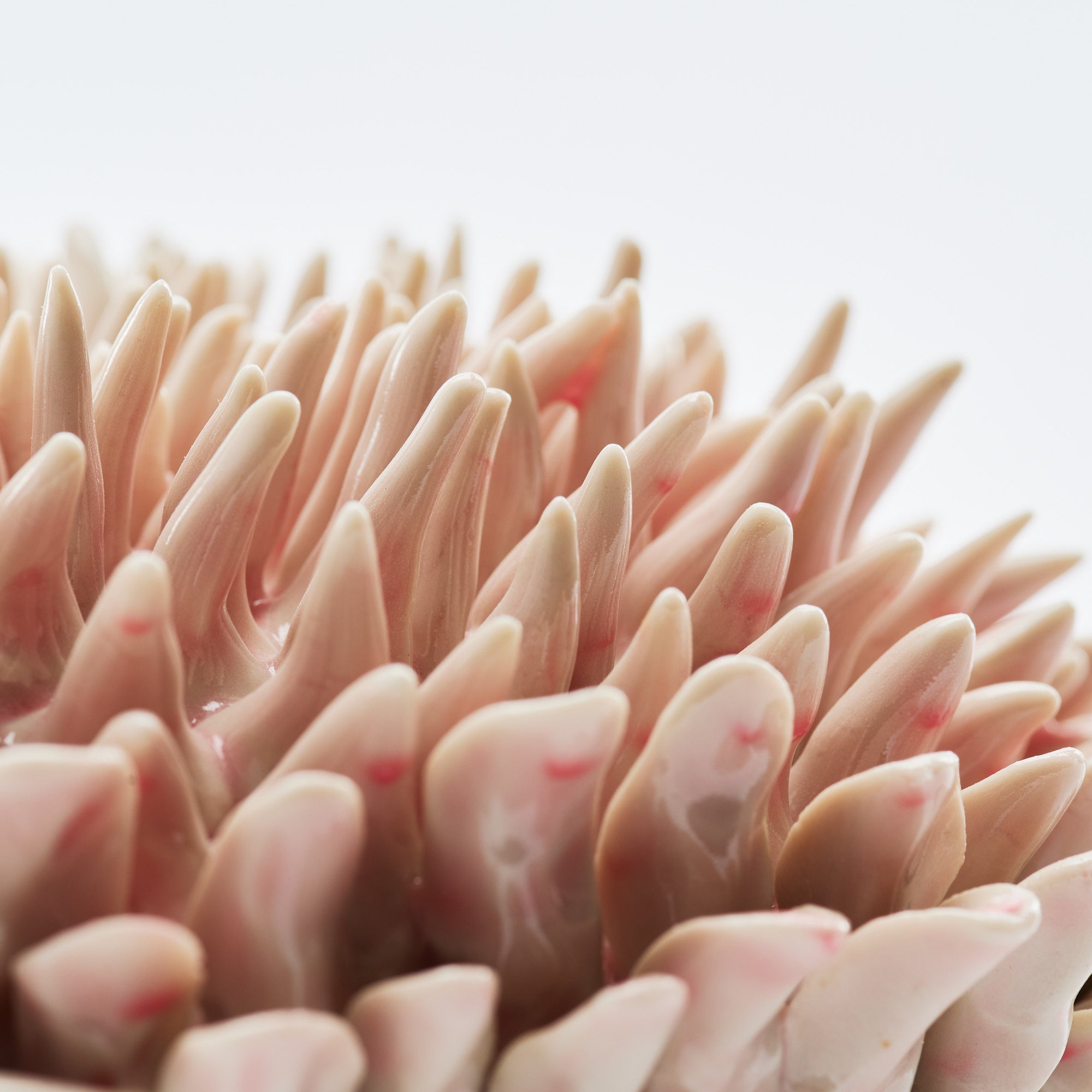 Marine Textures Objet d'Art 26