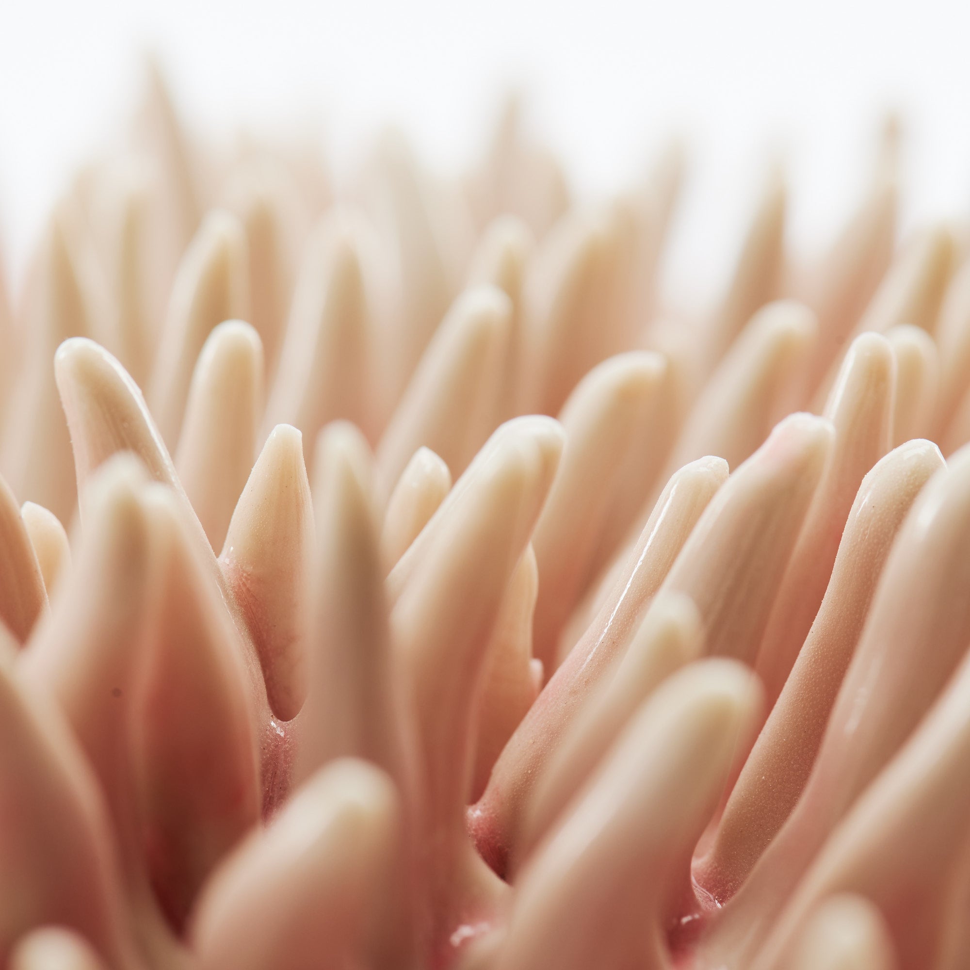 Marine Textures Objet d'Art 26