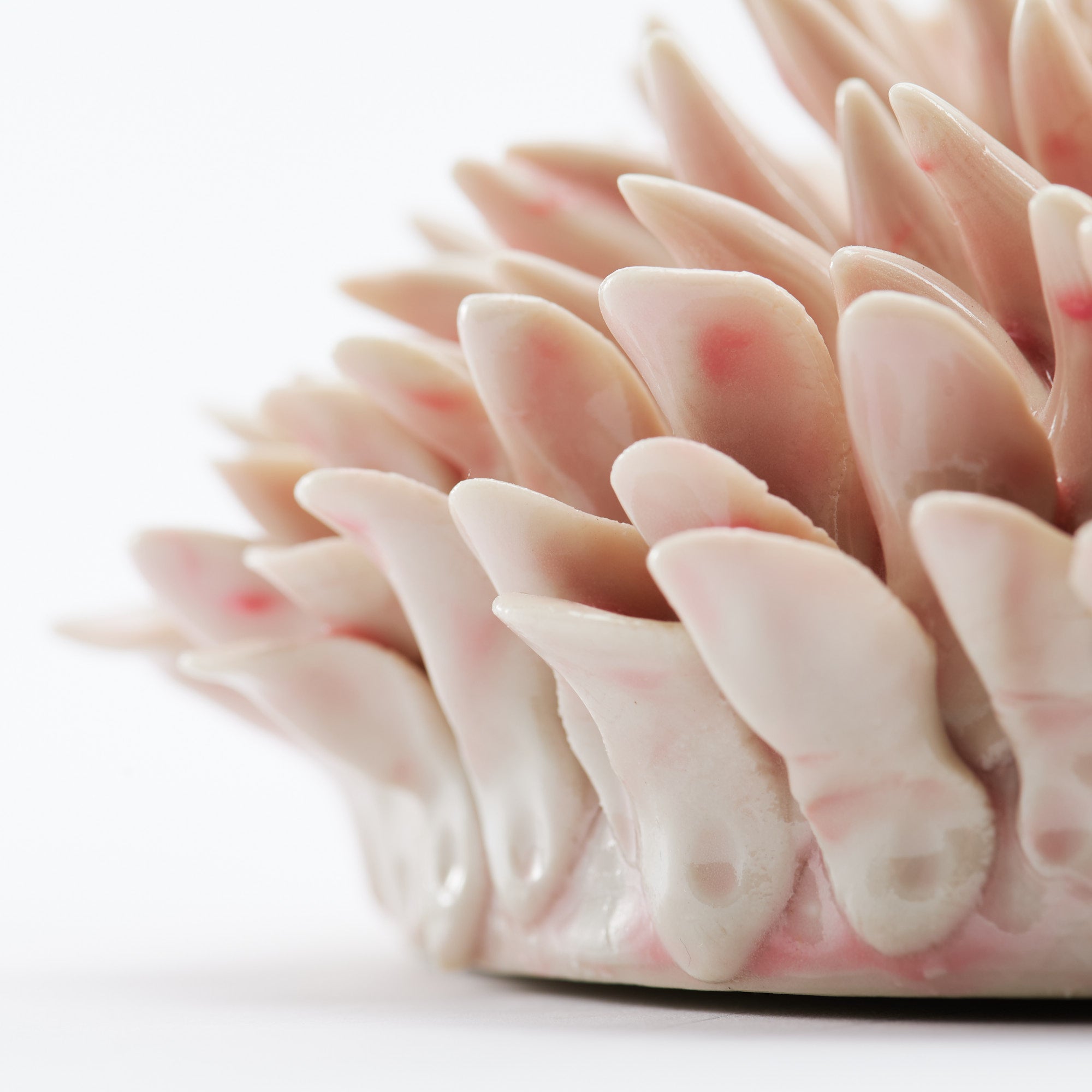 Marine Textures Objet d'Art 26