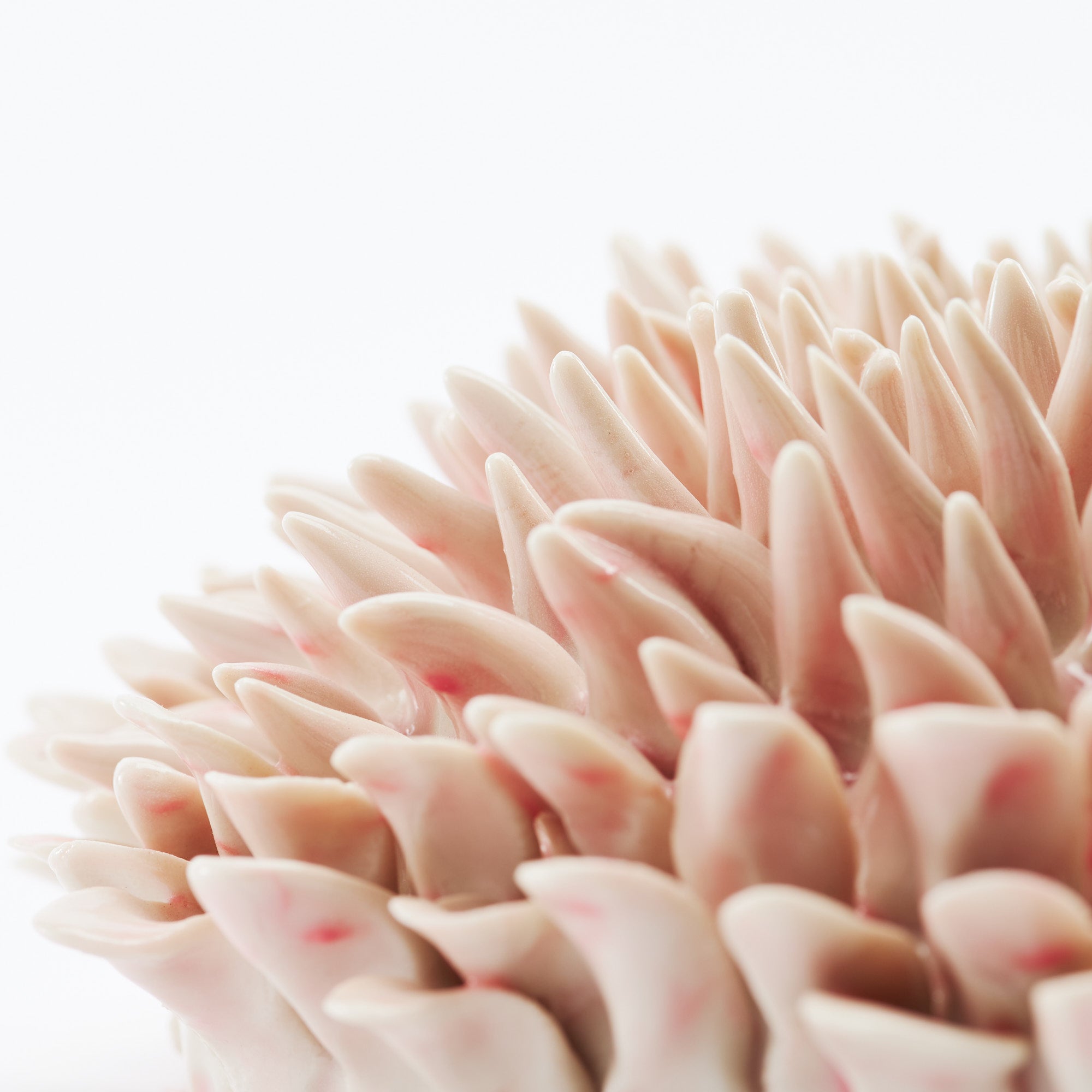 Marine Textures Objet d'Art 26