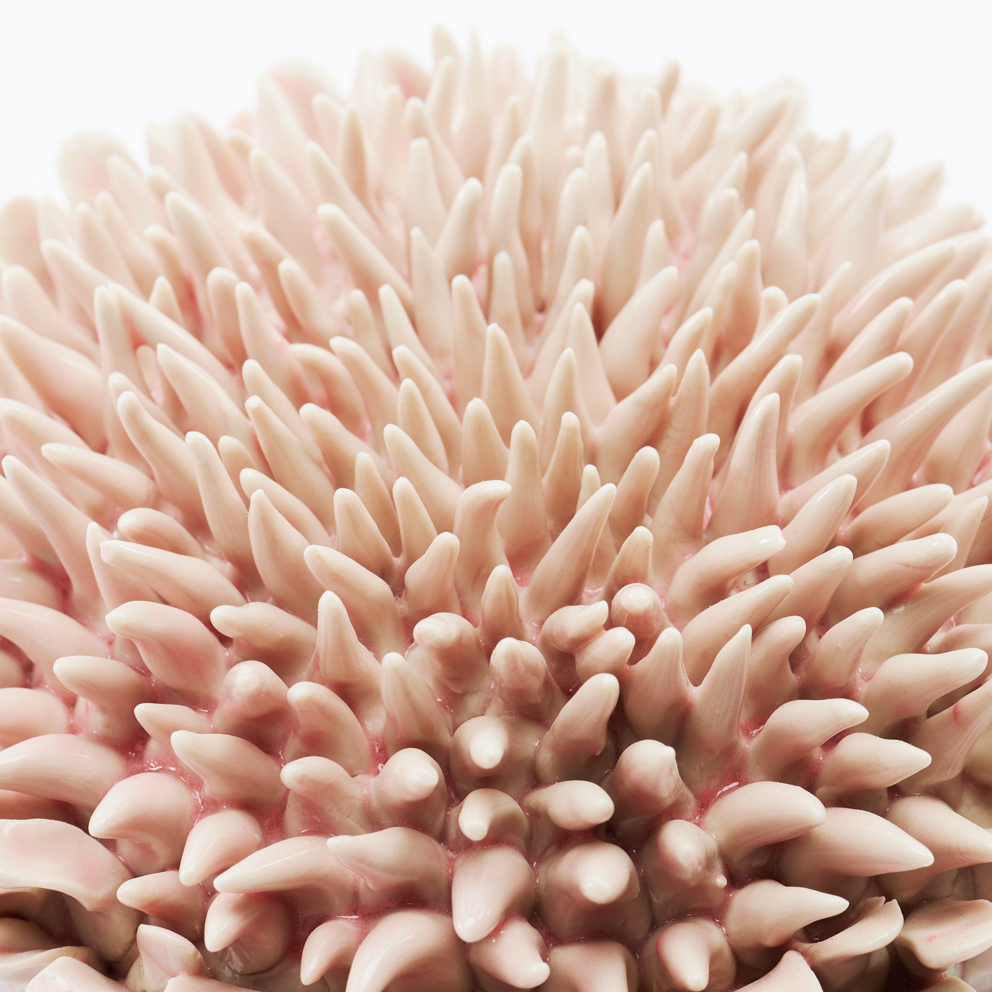 Marine Textures Objet d'Art 26