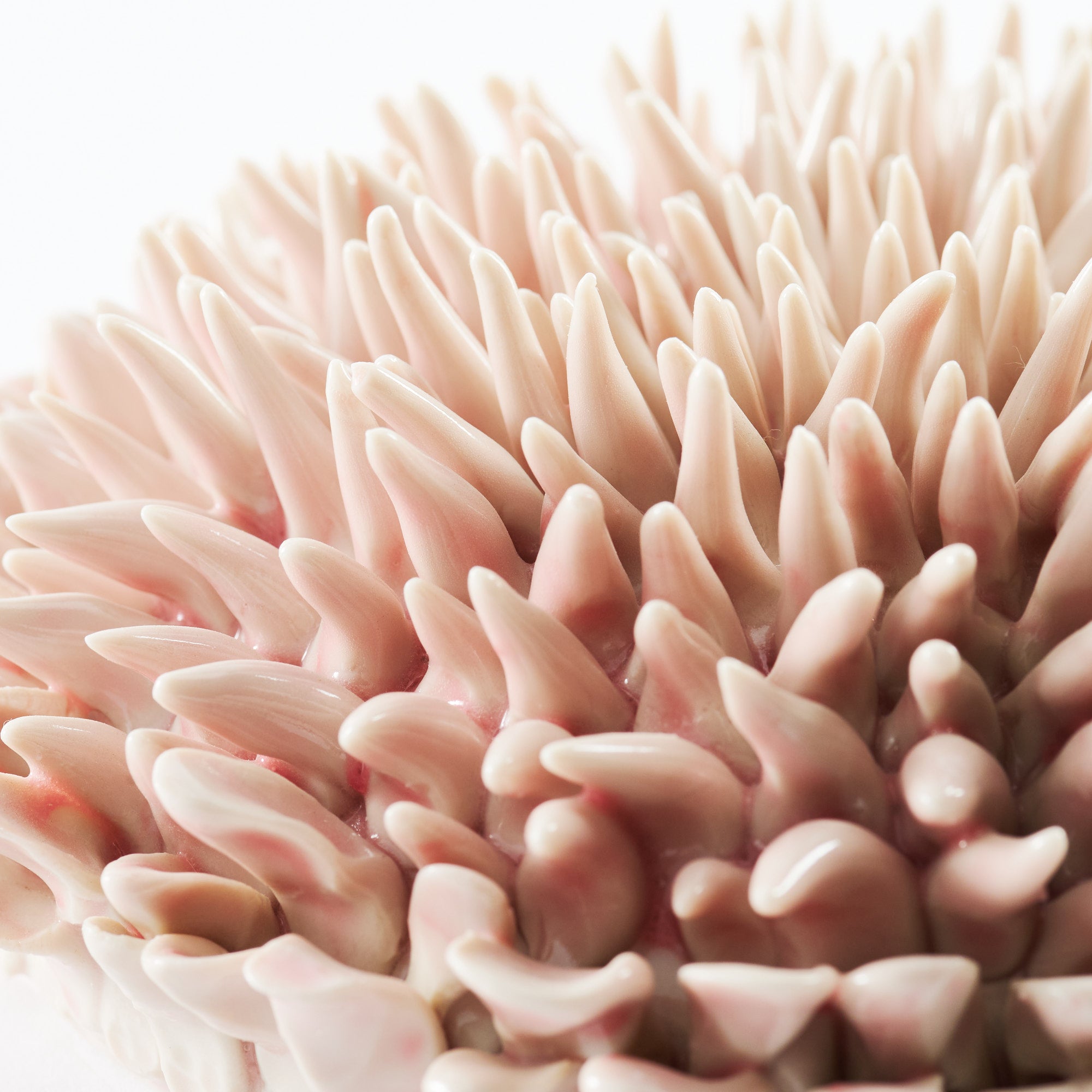 Marine Textures Objet d'Art 26
