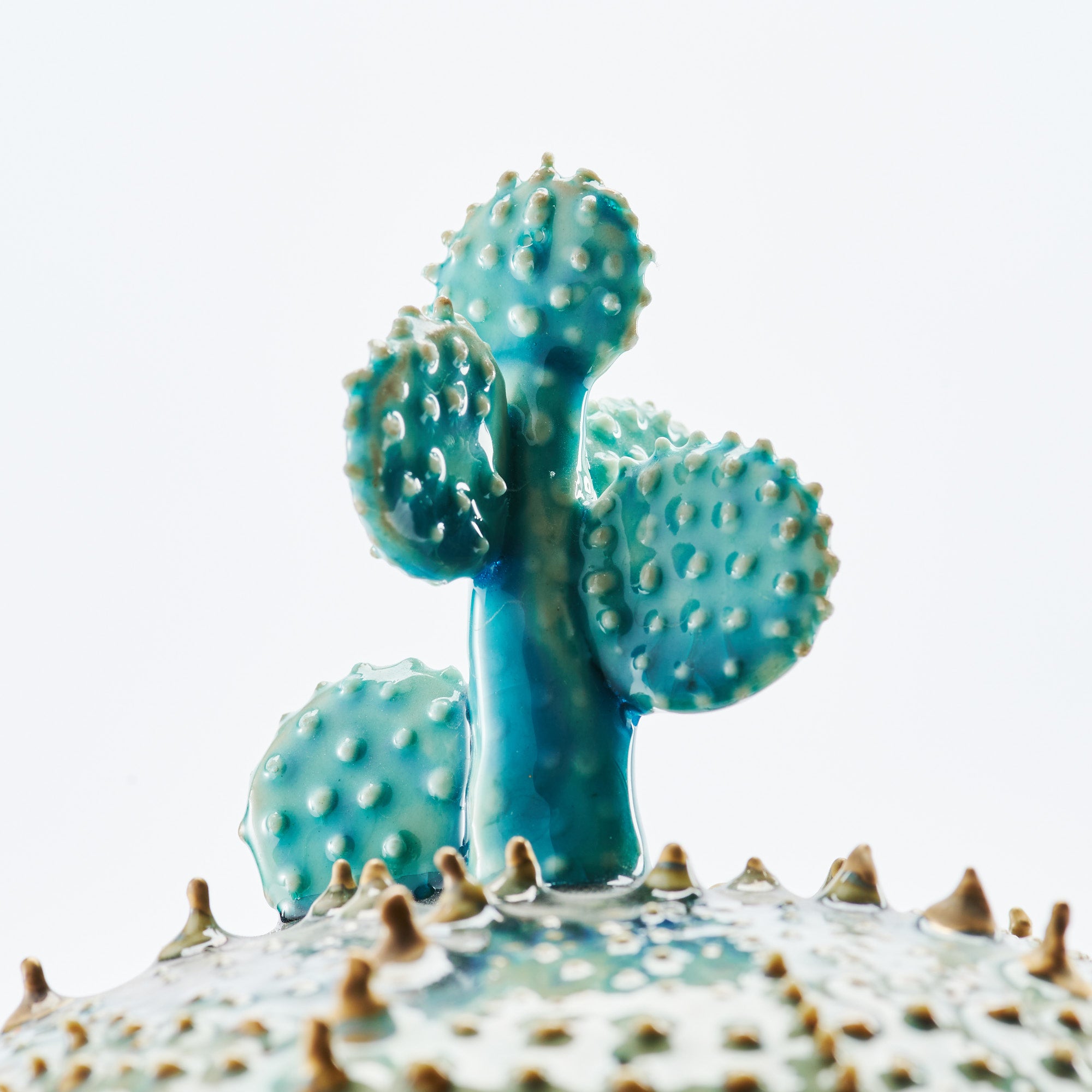 Marine Textures Objet d'Art 22