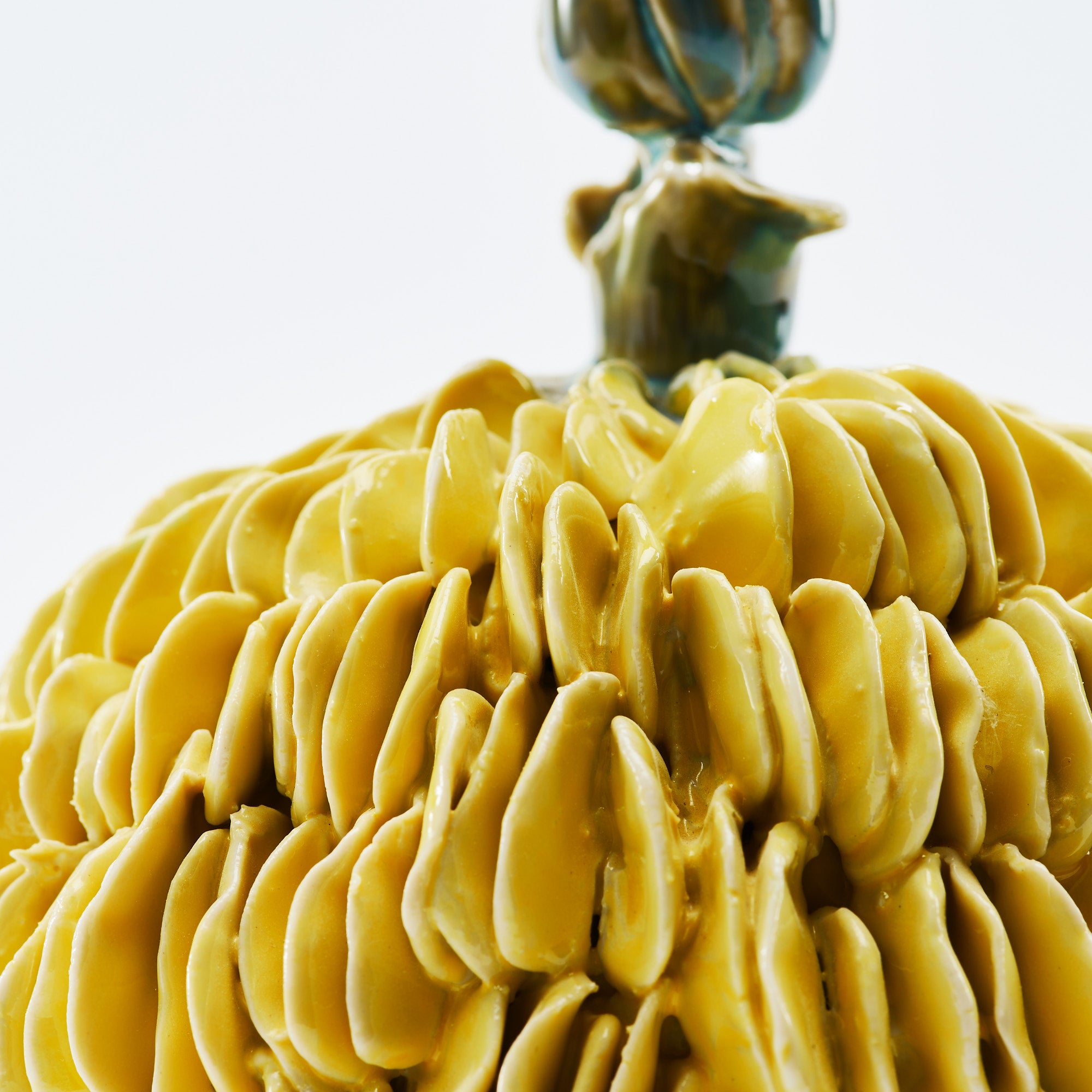 Botanical Textures Objet d'Art 18