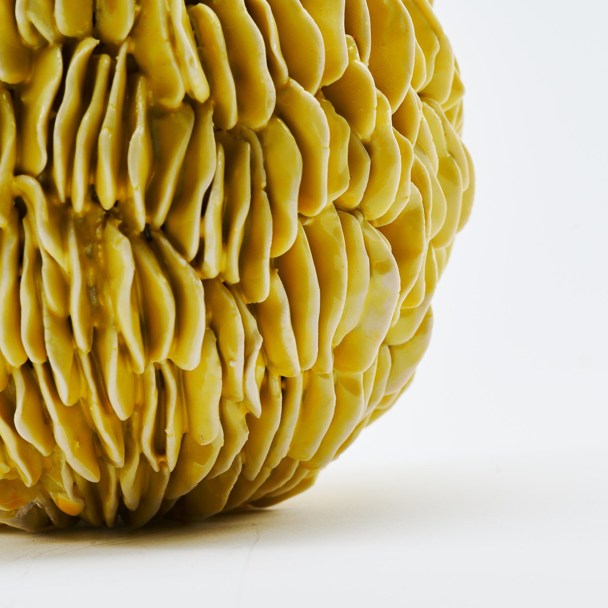 Botanical Textures Objet d'Art 18