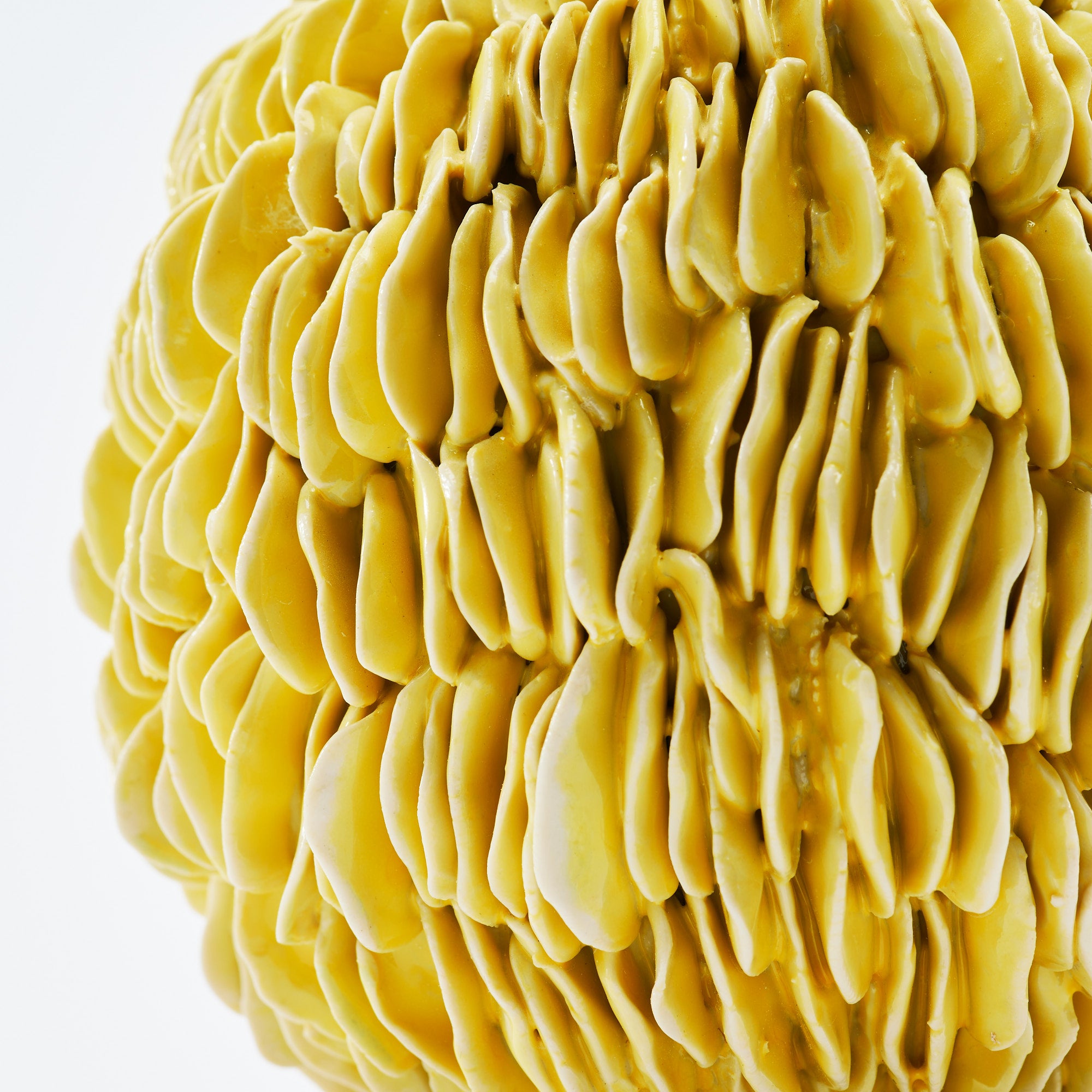 Botanical Textures Objet d'Art 18