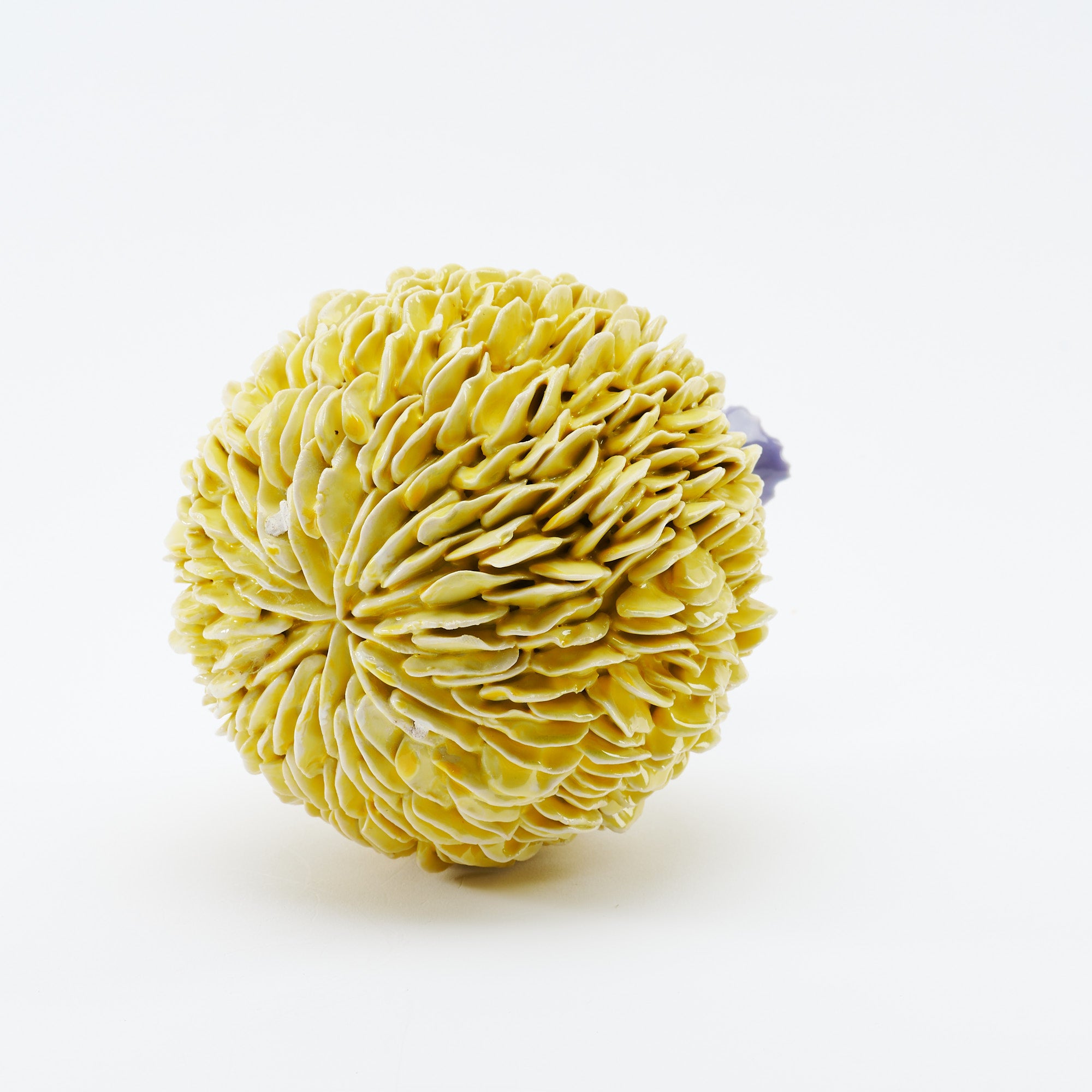 Botanical Textures Objet d'Art 18