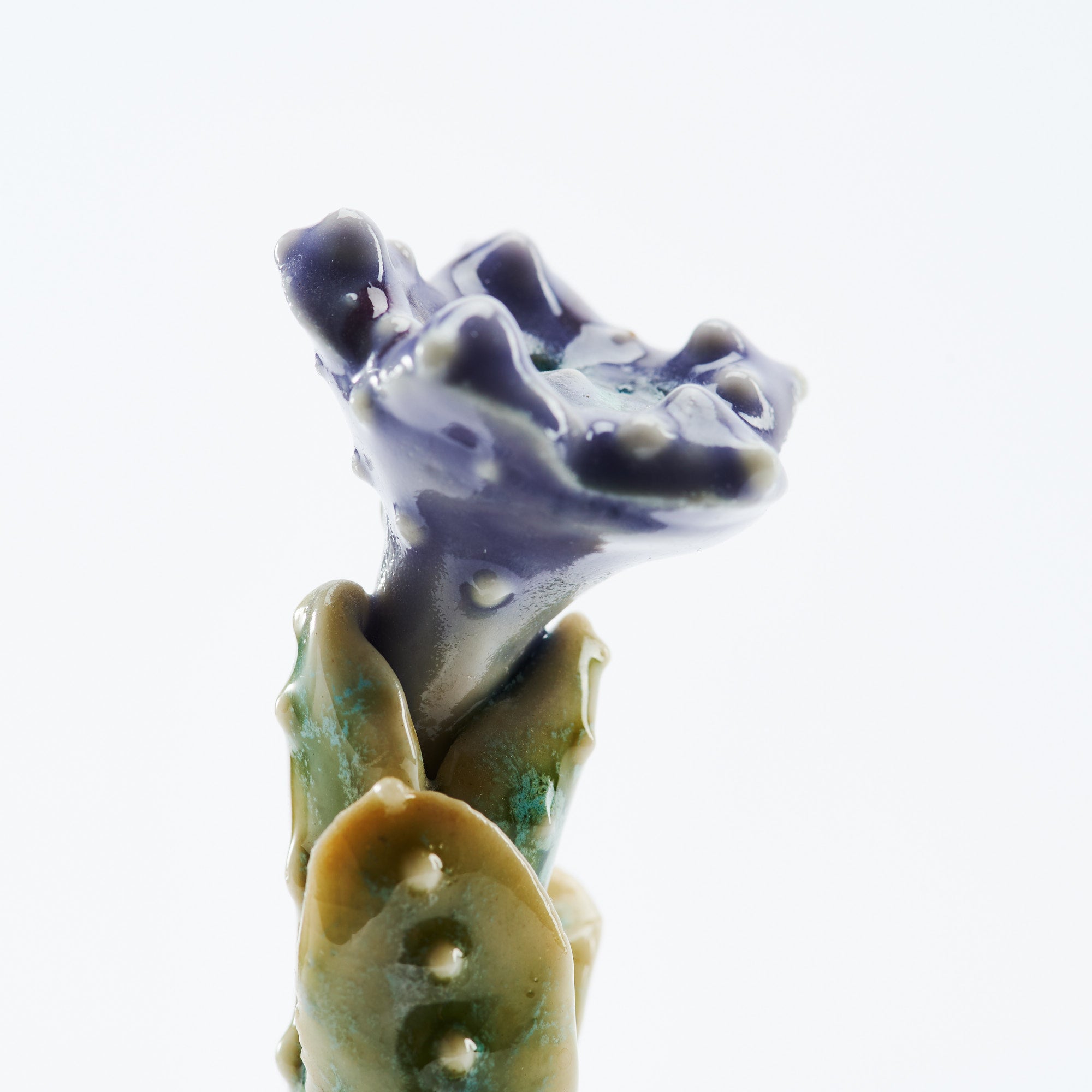 Botanical Textures Objet d'Art 15