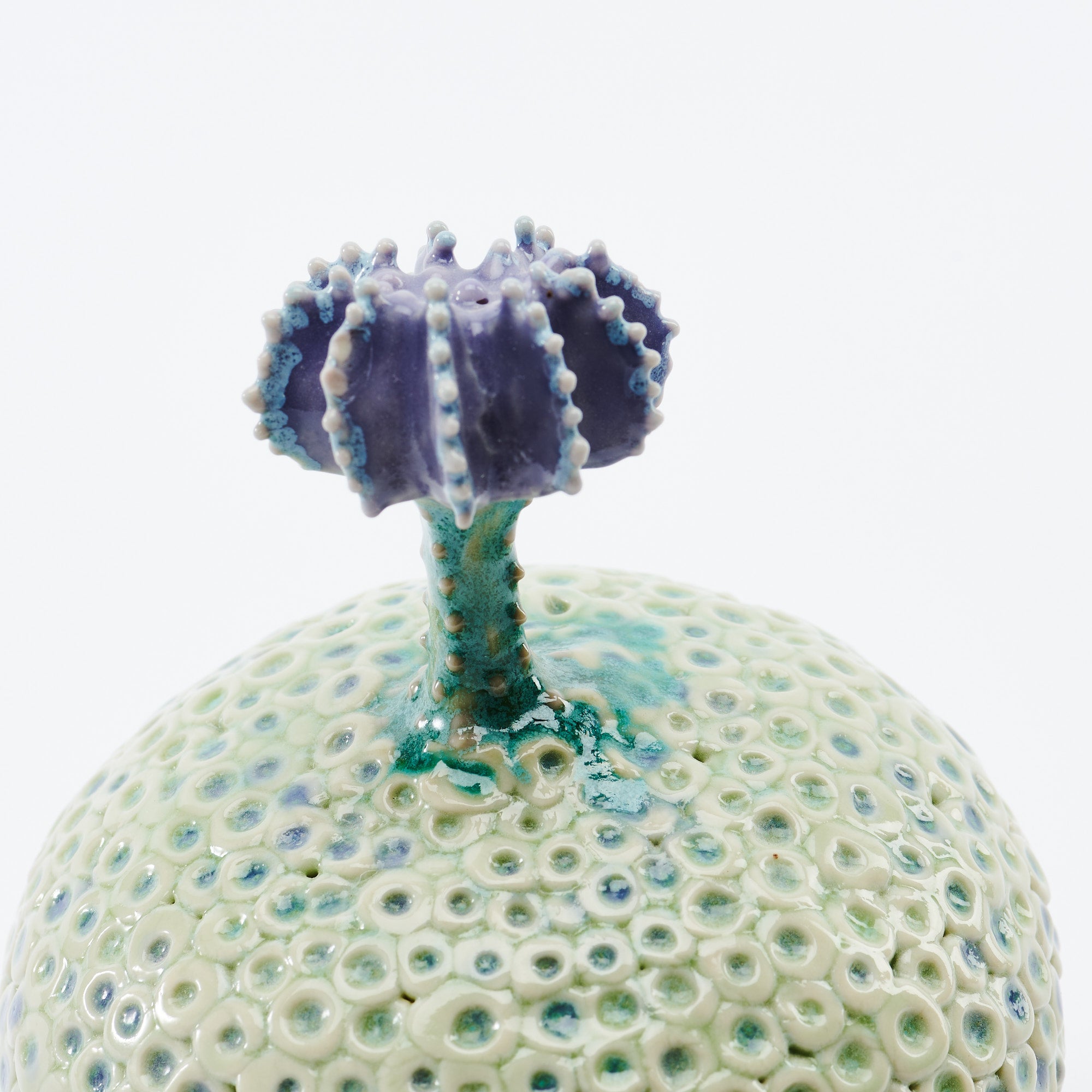 Botanical Textures Objet d'Art 14