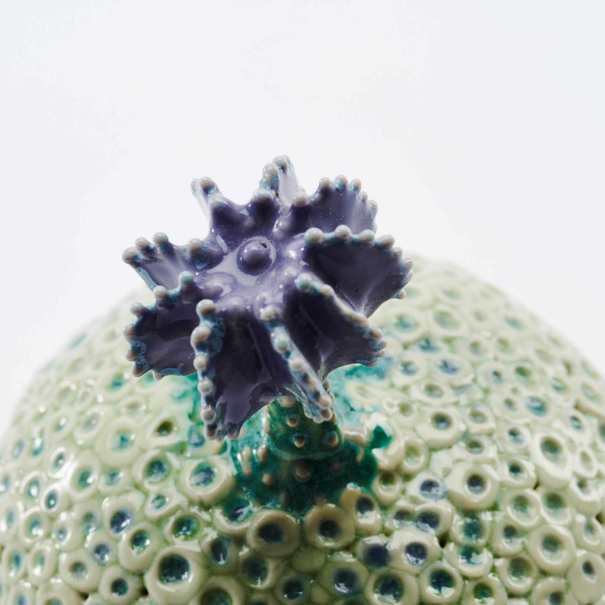 Botanical Textures Objet d'Art 14
