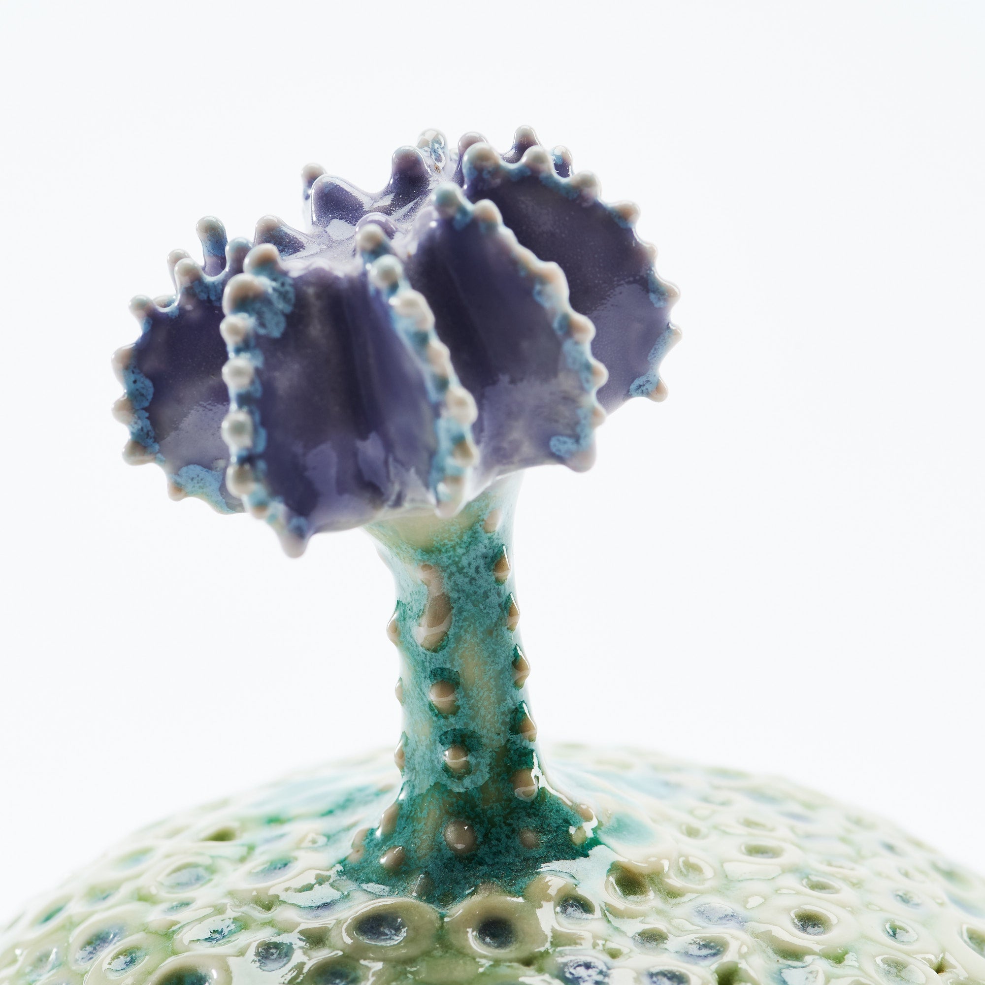 Botanical Textures Objet d'Art 14
