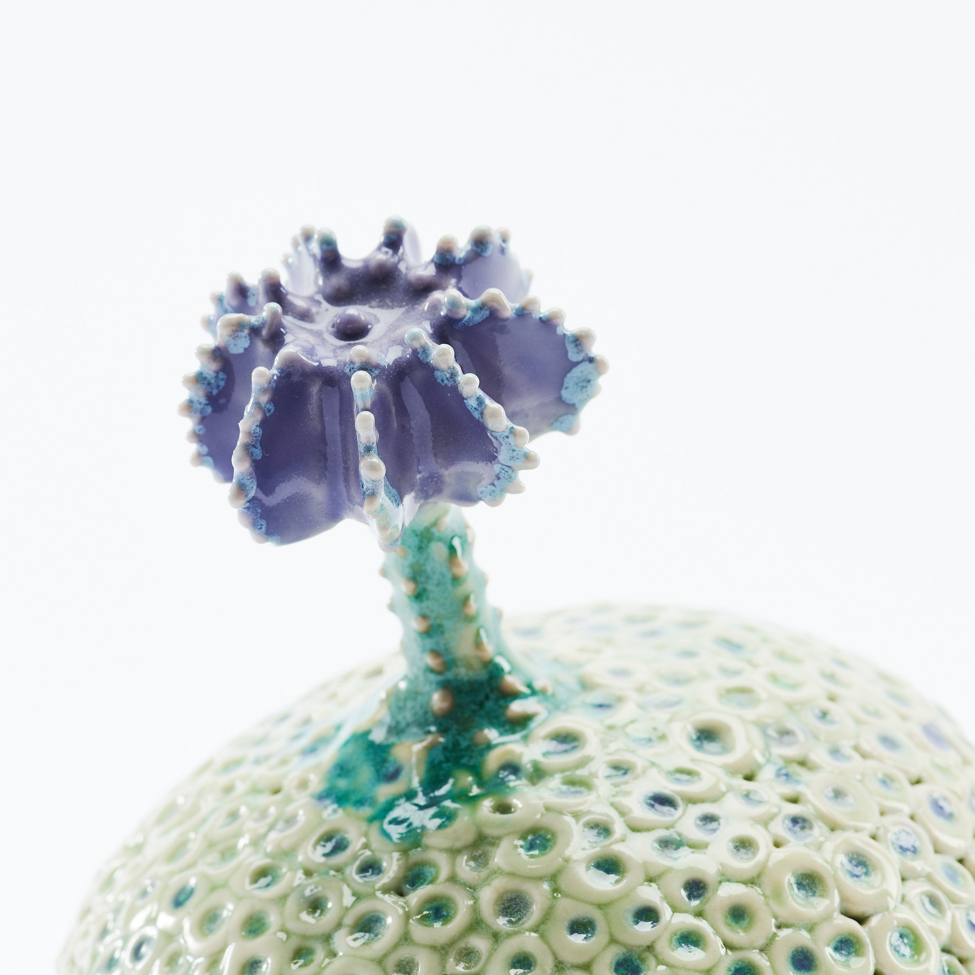Botanical Textures Objet d'Art 14