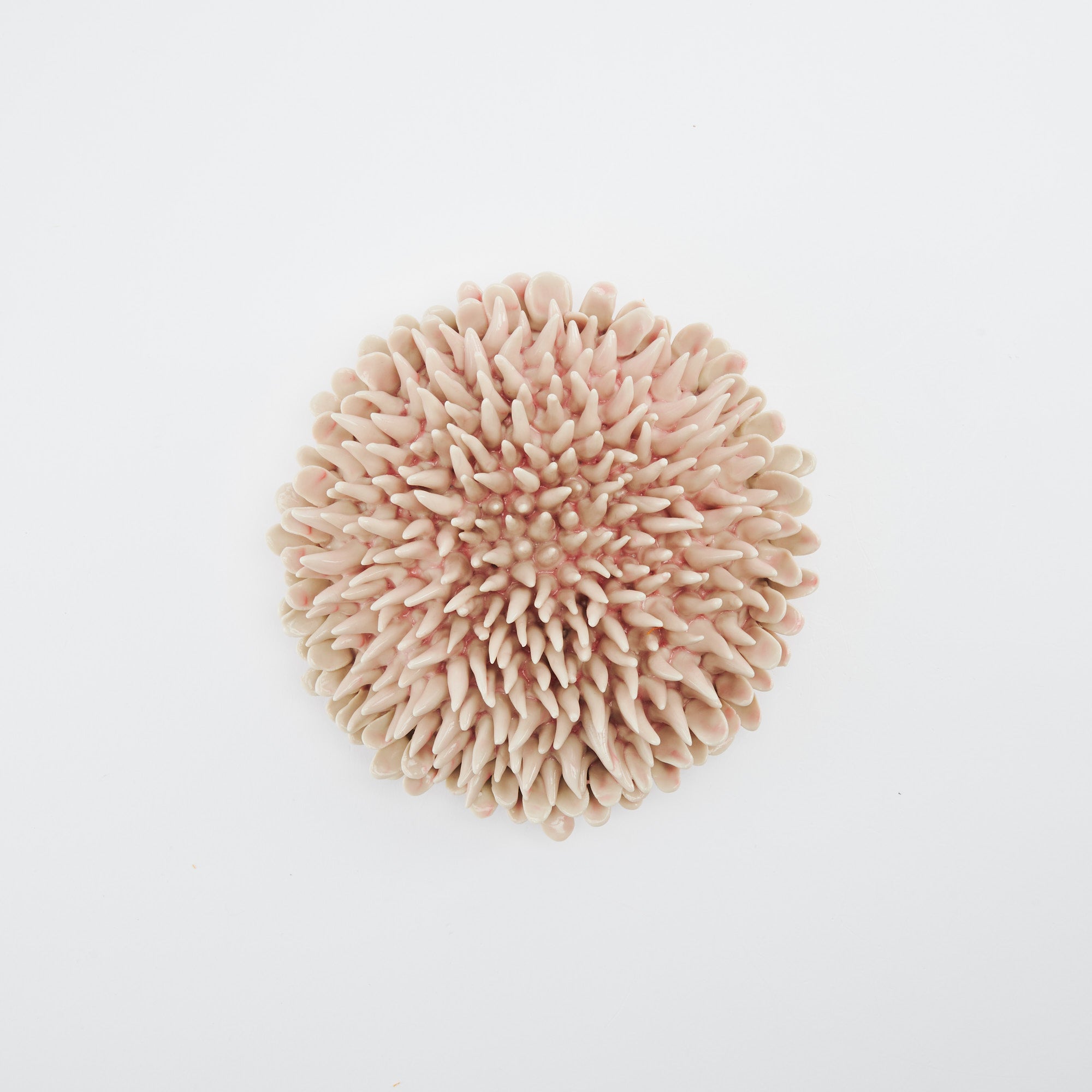 Marine Textures Objet d'Art 26