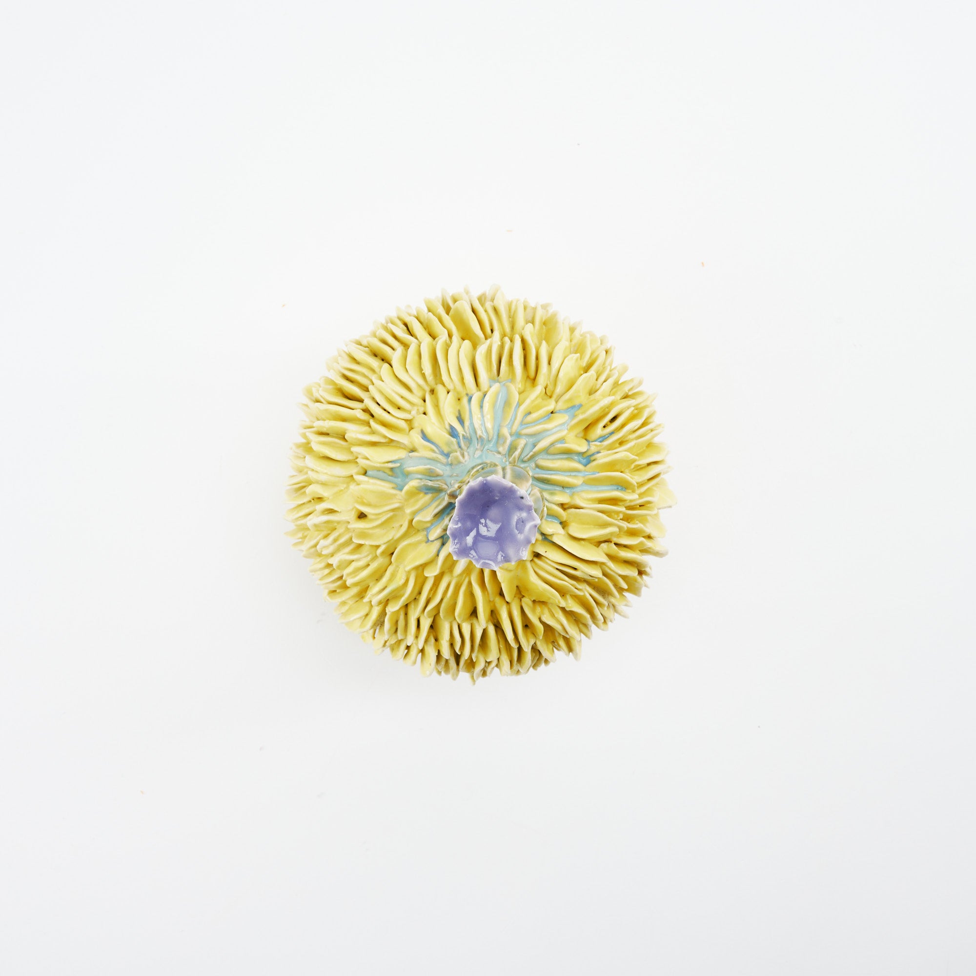 Botanical Textures Objet d'Art 18